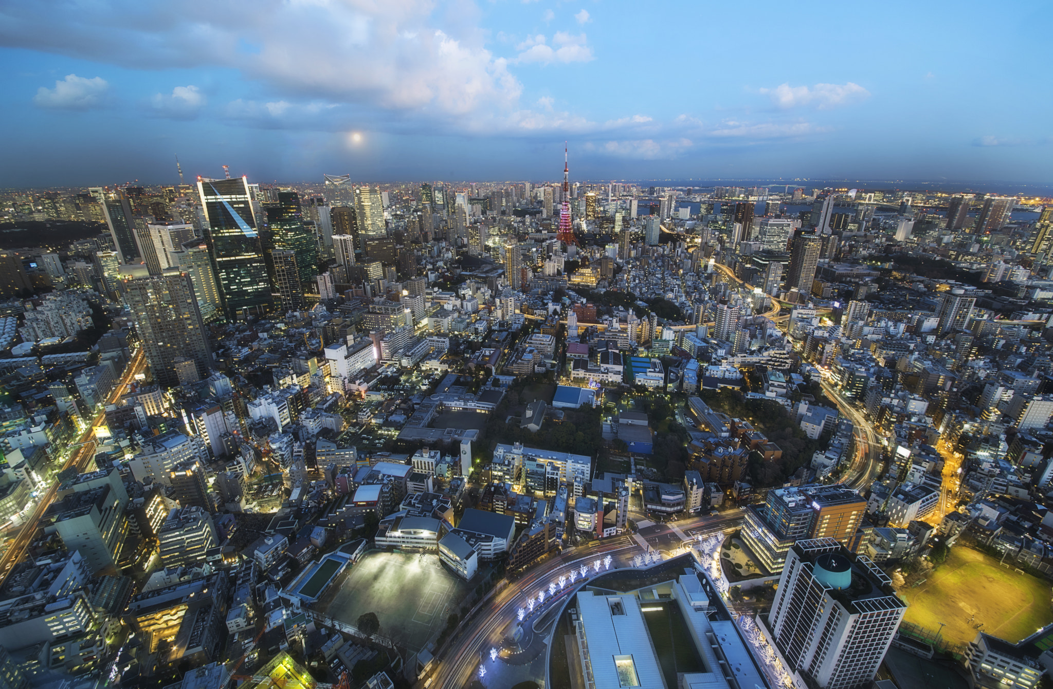 Nikon D810 + Sigma 12-24mm F4.5-5.6 II DG HSM sample photo. Tokyo city view photography