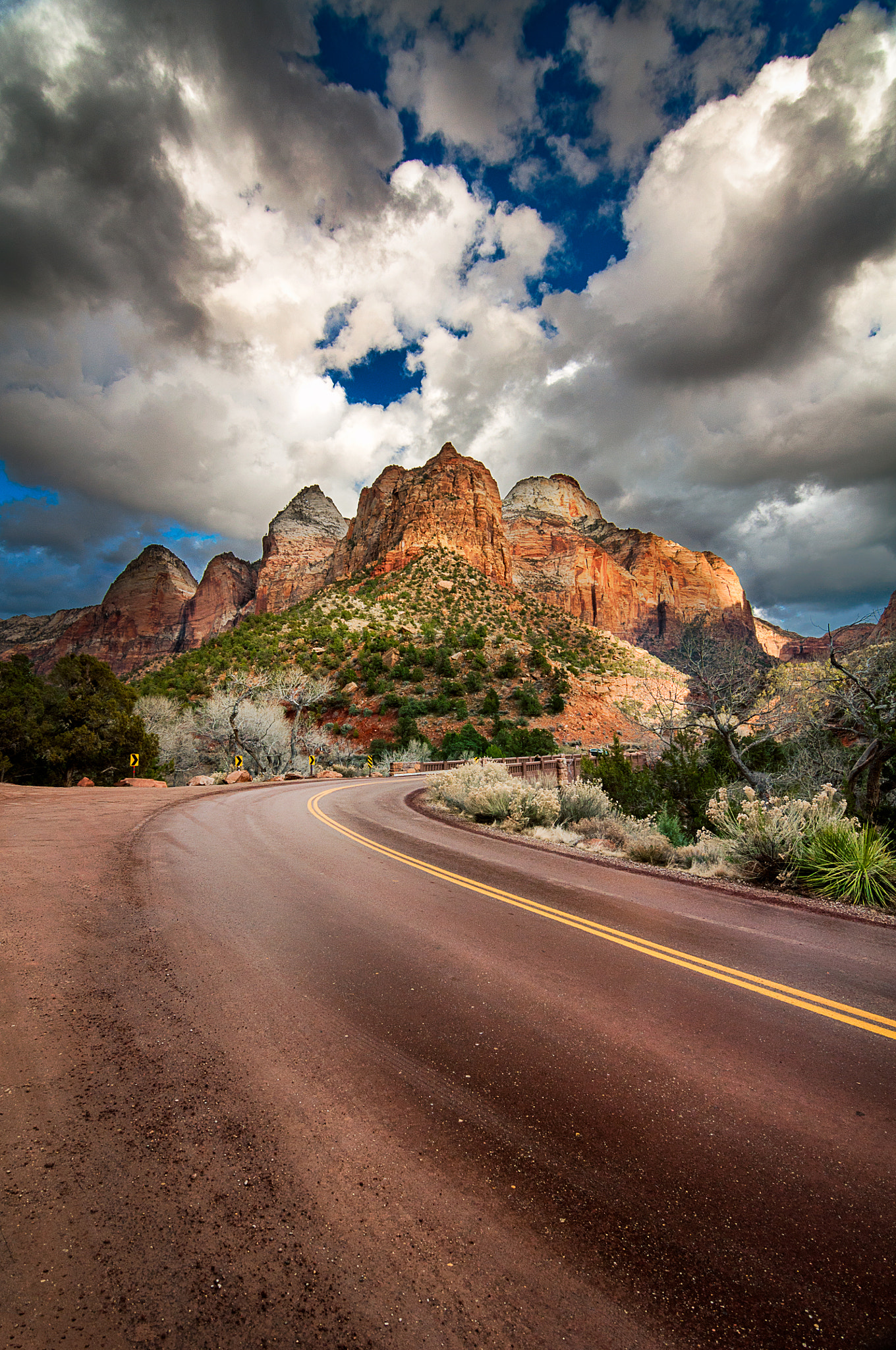 Nikon D90 + Tokina AT-X Pro 11-16mm F2.8 DX II sample photo. Road to zion photography