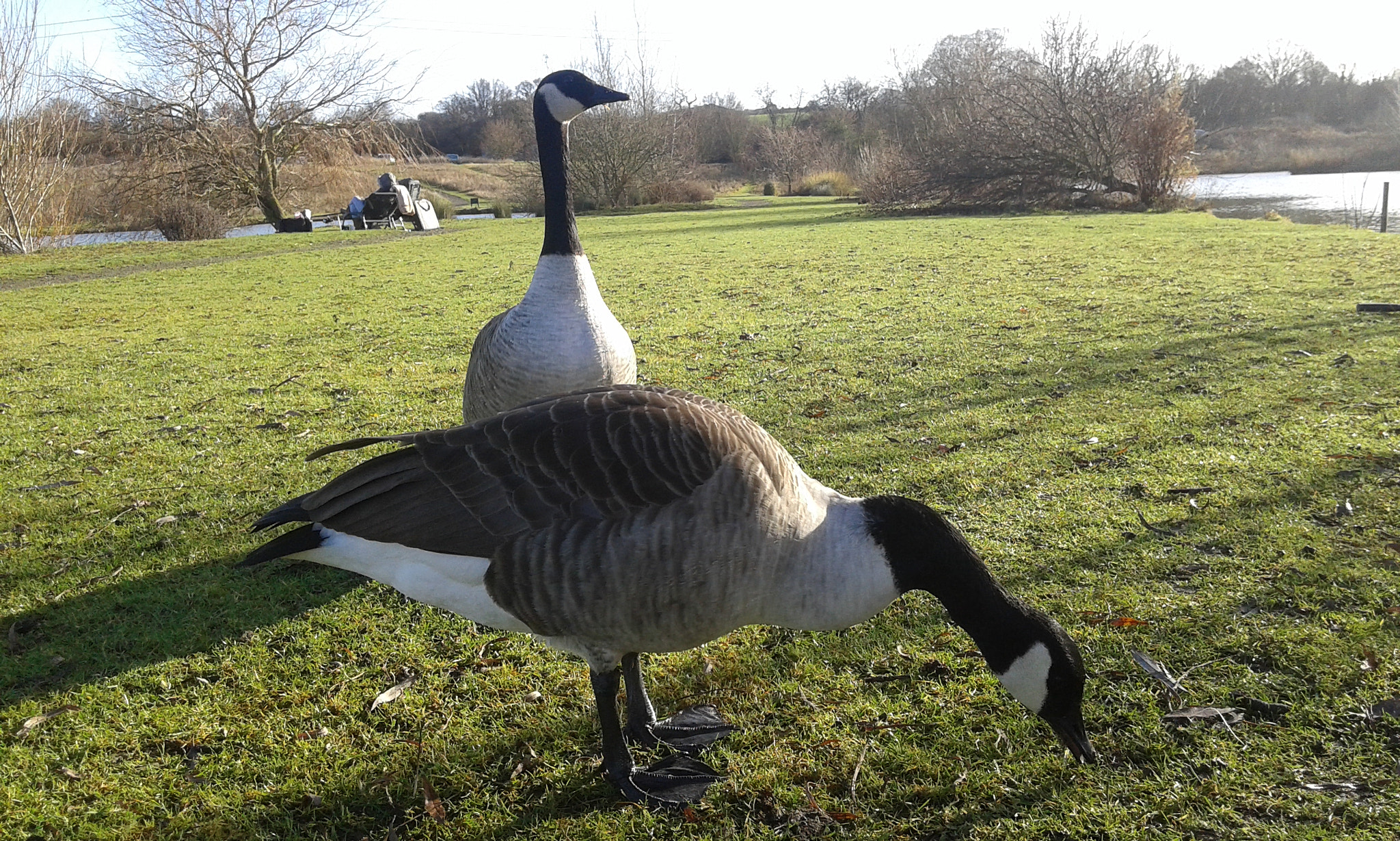Samsung Galaxy Grand Neo Plus sample photo