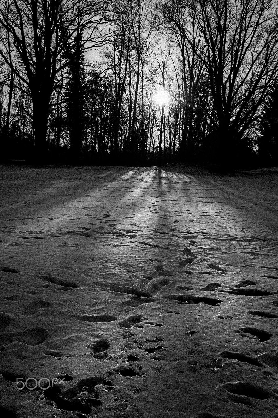 Nikon D700 + Nikon AF-S Nikkor 35mm F1.4G sample photo. Moon boot photography