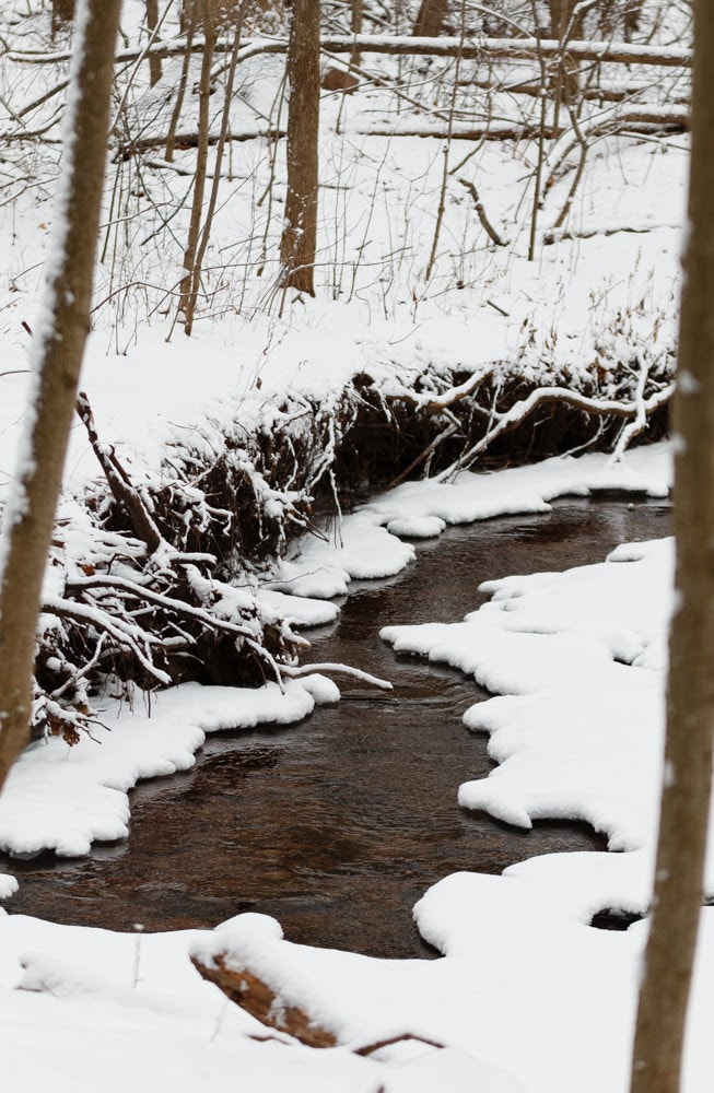 Canon EOS 70D + Sigma 70-200mm F2.8 EX DG OS HSM sample photo. Snow covered creek photography