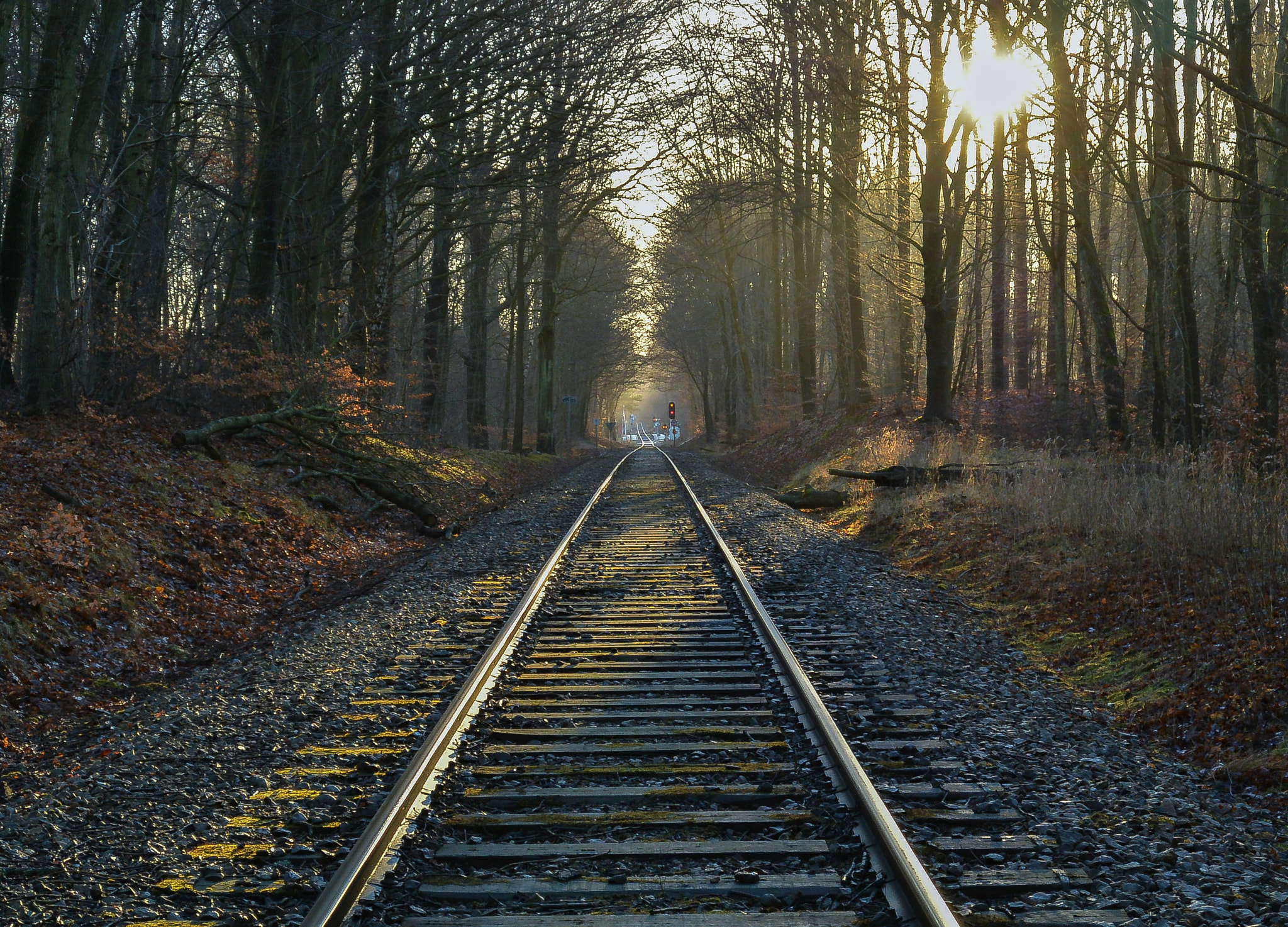 Nikon 1 Nikkor 11-27.5mm F3.5-5.6 sample photo. Tracks... photography