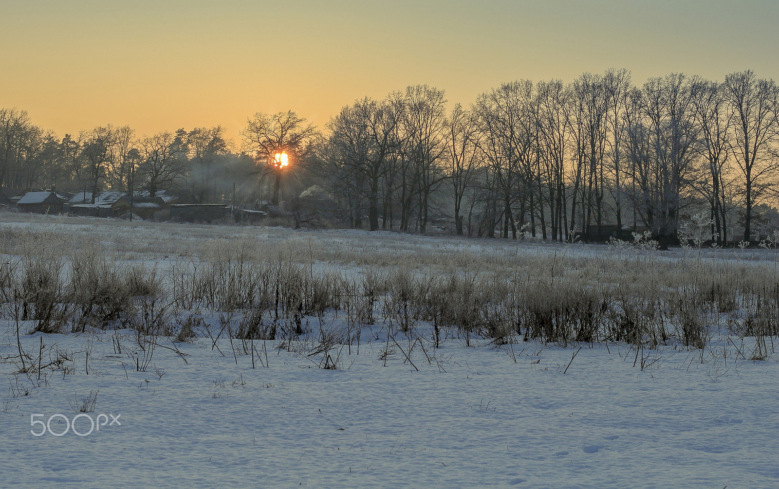 Canon EF 40mm F2.8 STM sample photo. Orange photography