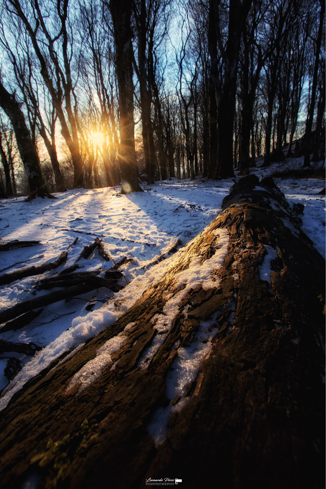 Canon EOS 6D sample photo. Sole e  neve...in faggeta.. photography