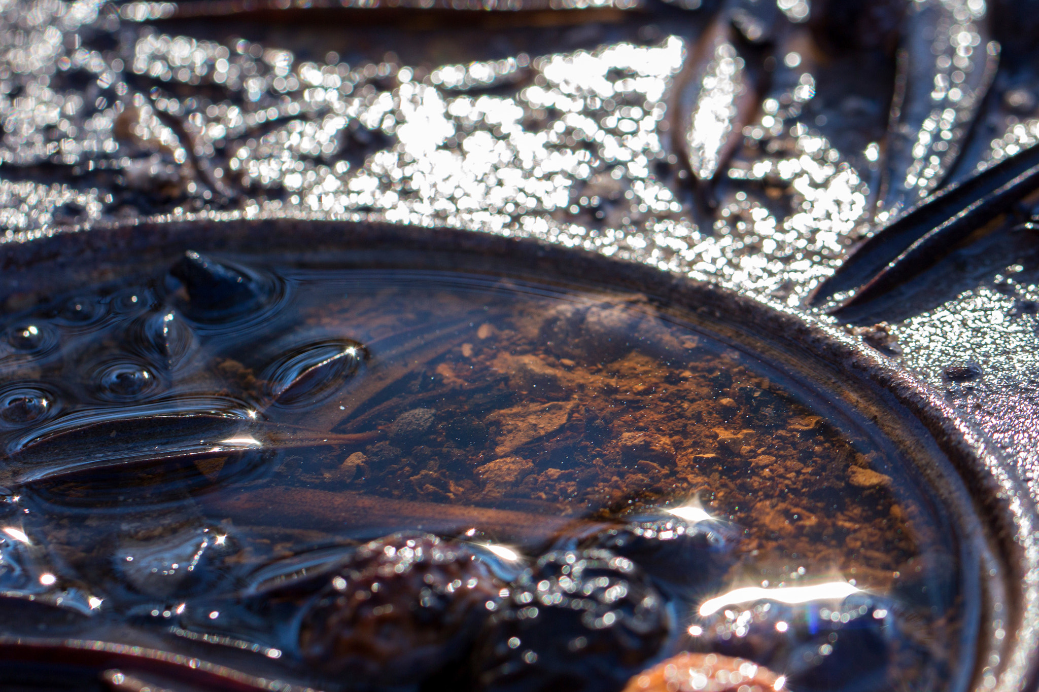 Canon EF 100mm F2.8L Macro IS USM sample photo. Water and tin photography