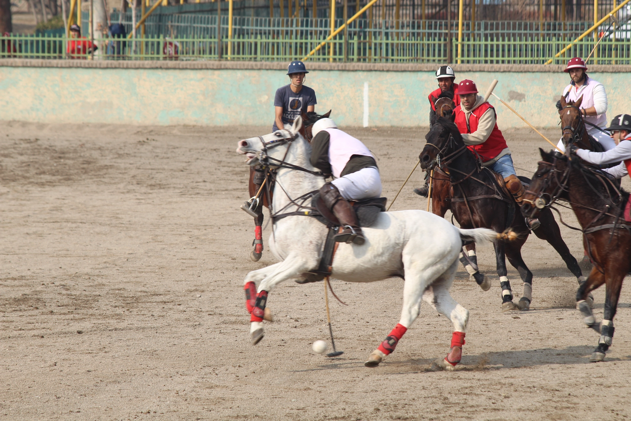 Canon EF 70-300mm F4-5.6 IS USM sample photo. Polo tehran photography
