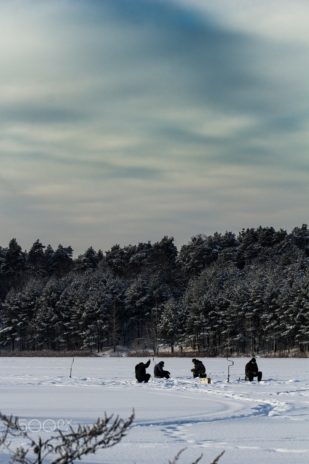 Canon EOS 550D (EOS Rebel T2i / EOS Kiss X4) + Canon EF 85mm F1.8 USM sample photo. Winter fish photography