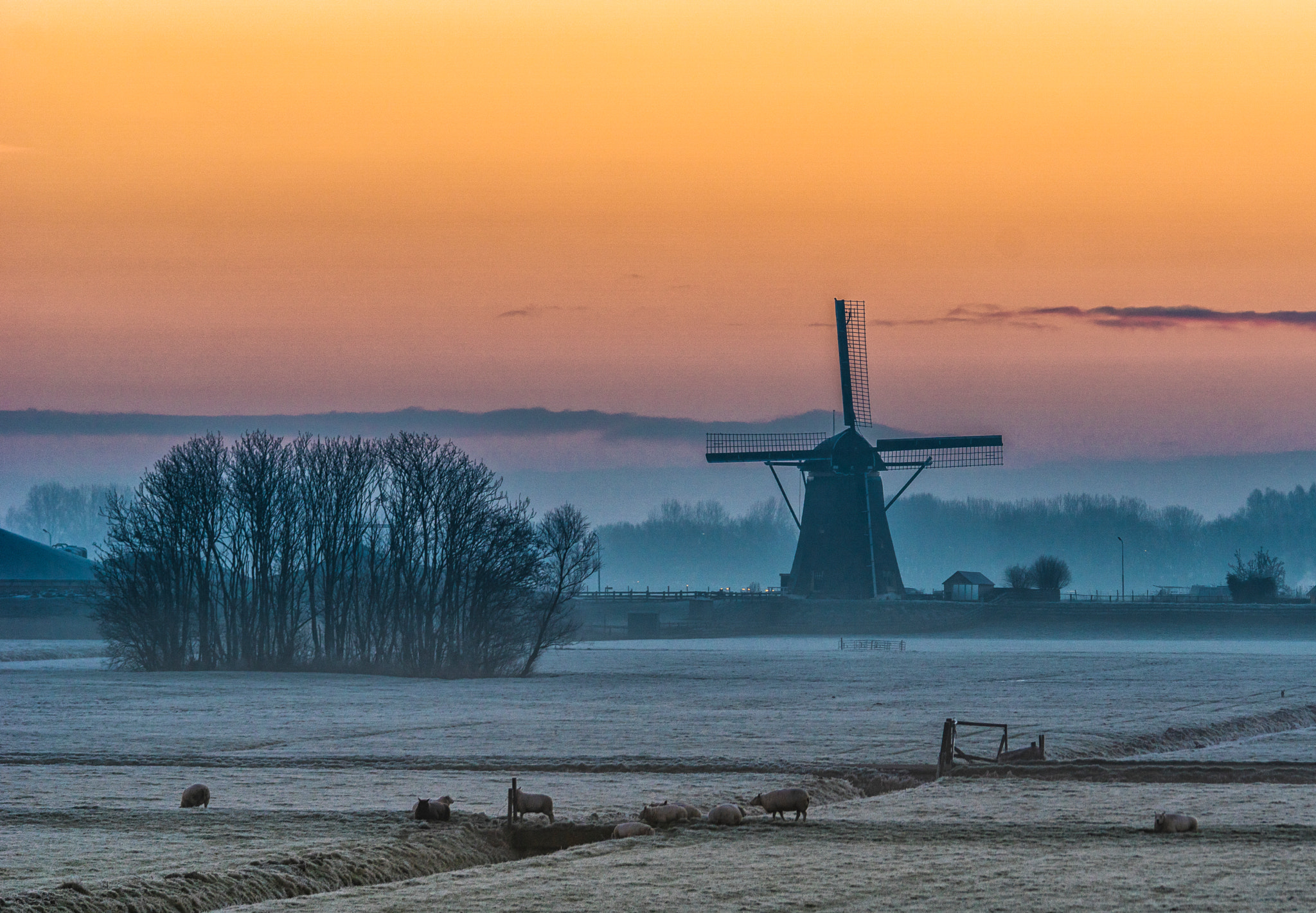 Sony ILCA-77M2 sample photo. Winter sunrise with windmill photography