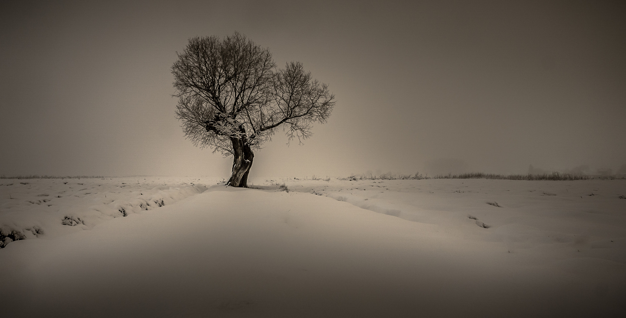 ZEISS Touit 12mm F2.8 sample photo. Winter photography