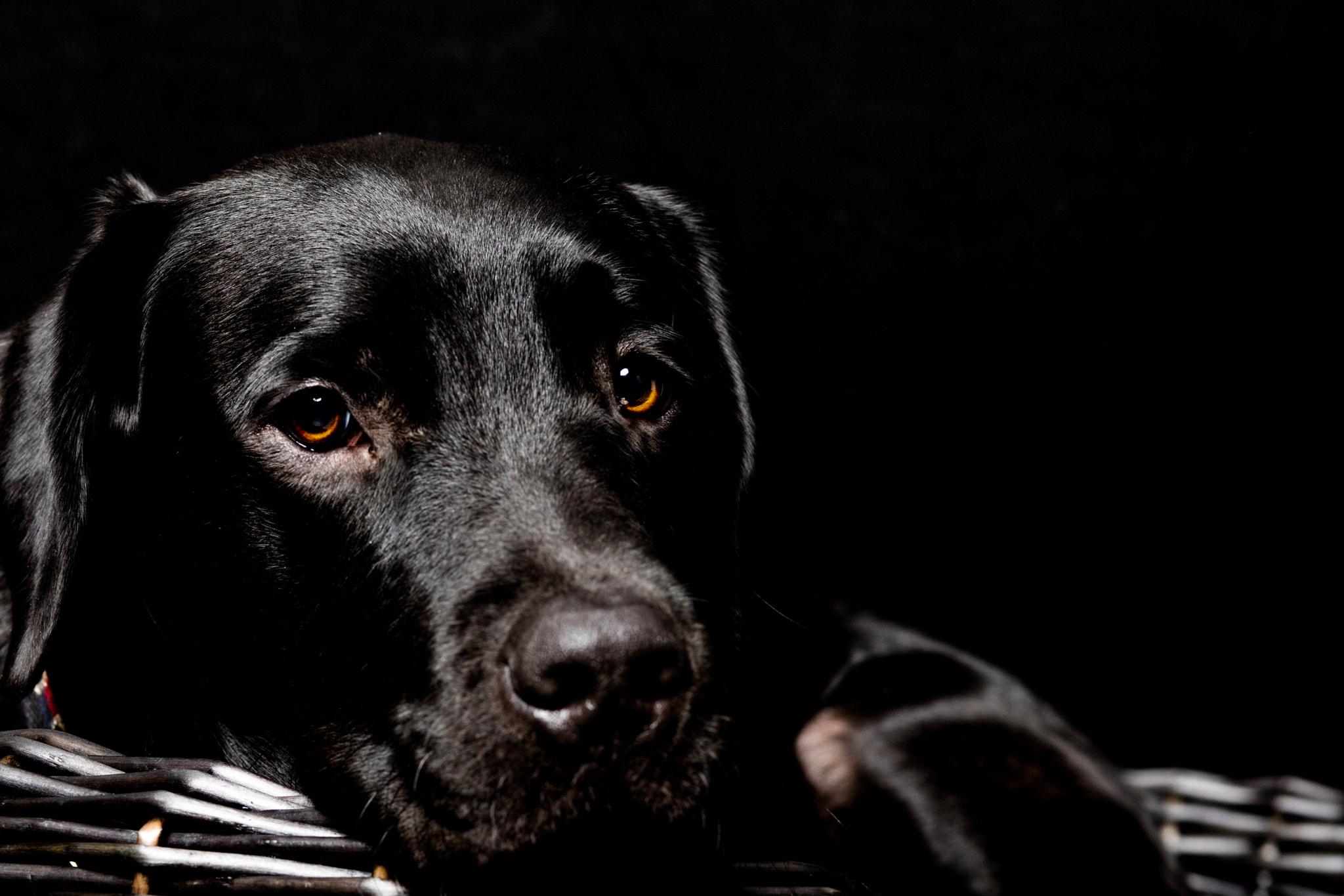 Canon EF 85mm F1.8 USM sample photo. Good night black boy photography