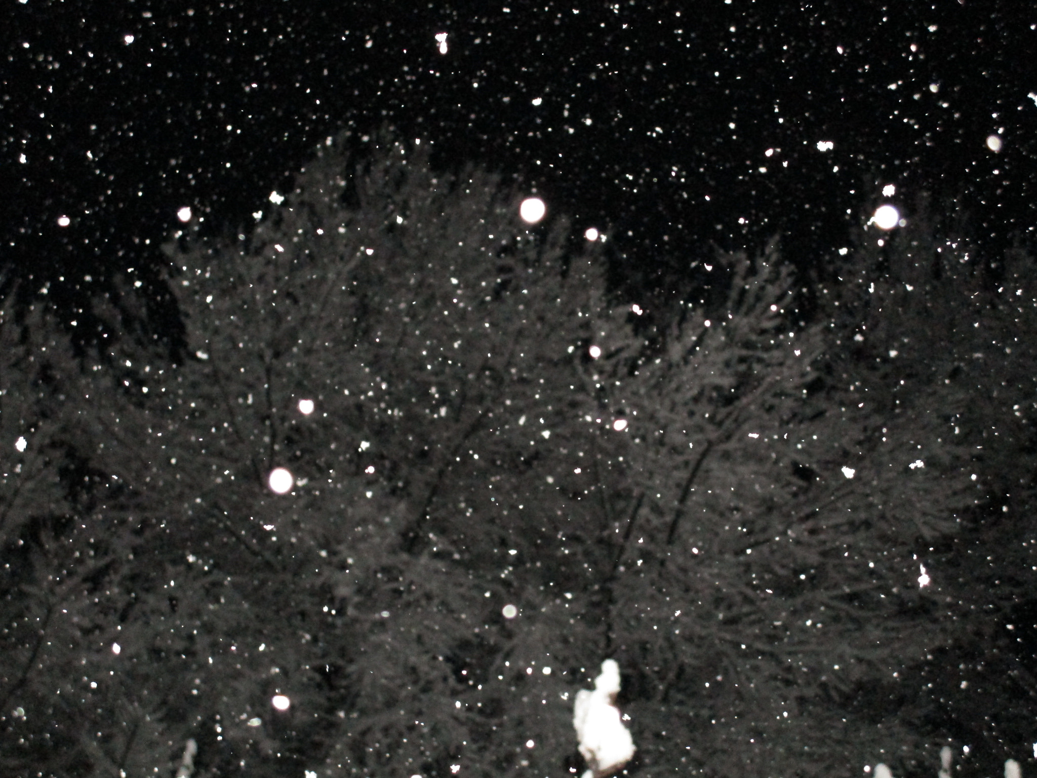 Canon PowerShot ELPH 150 IS (IXUS 155 / IXY 140) sample photo. Cristal snow by night photography