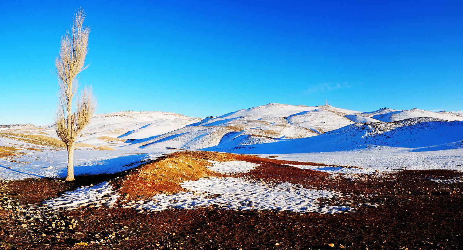 Olympus OM-D E-M10 II + OLYMPUS M.9-18mm F4.0-5.6 sample photo. Azrou snow mountain photography