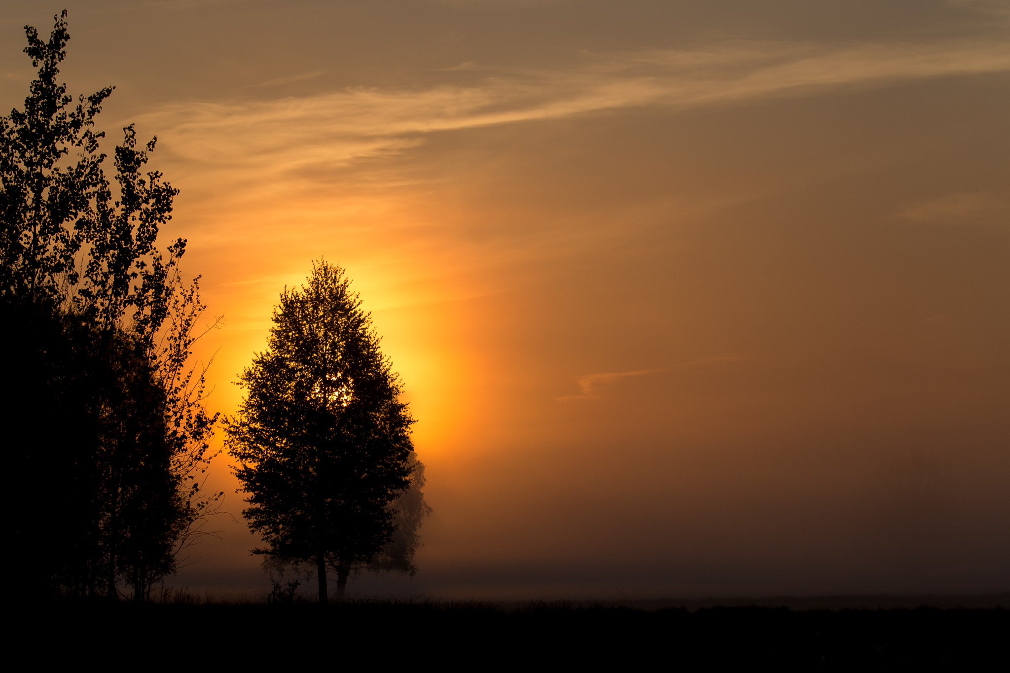 Canon EOS-1D X sample photo. Srgb photography