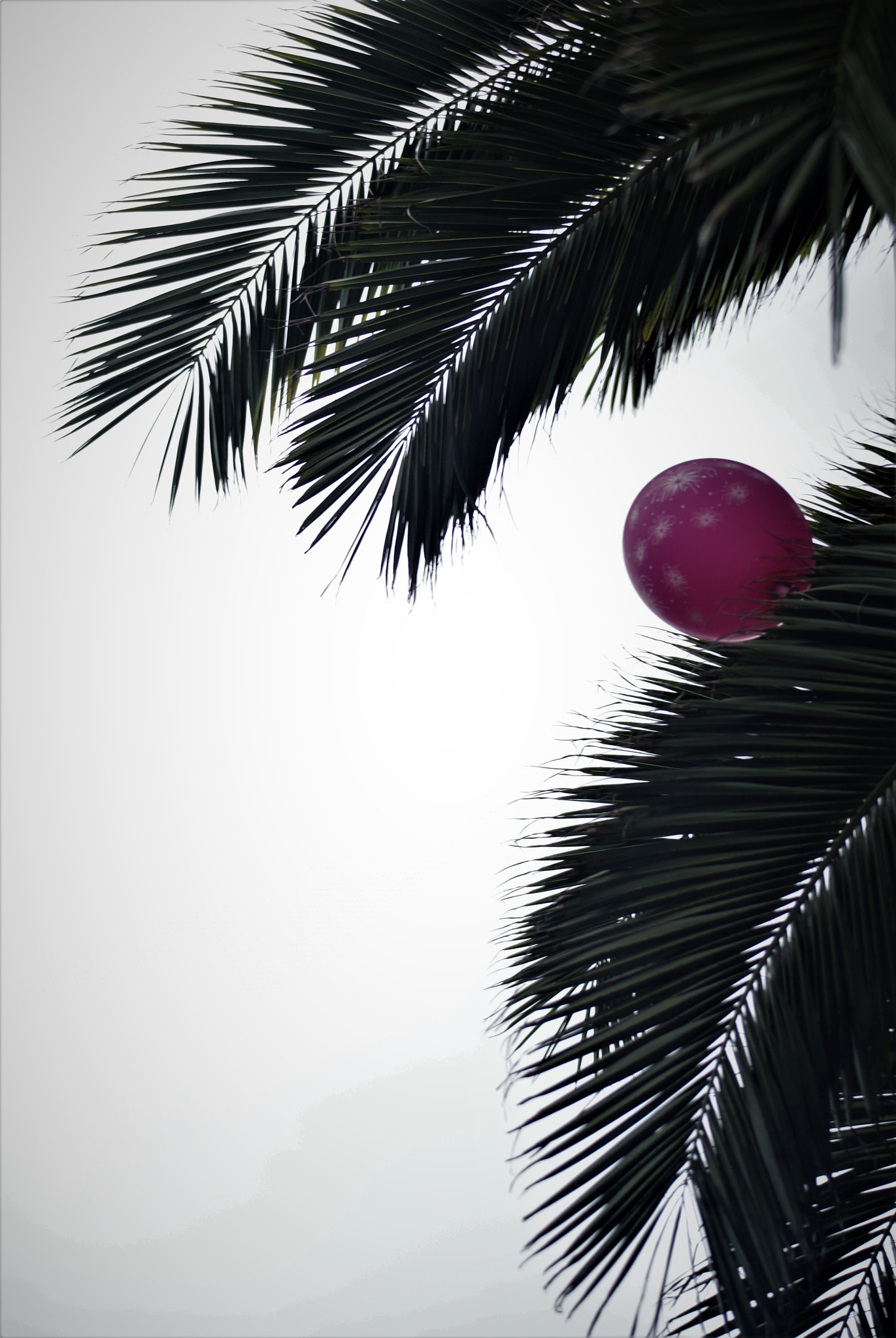 Minolta AF 70-210mm F4.5-5.6 [II] sample photo. El globo. photography