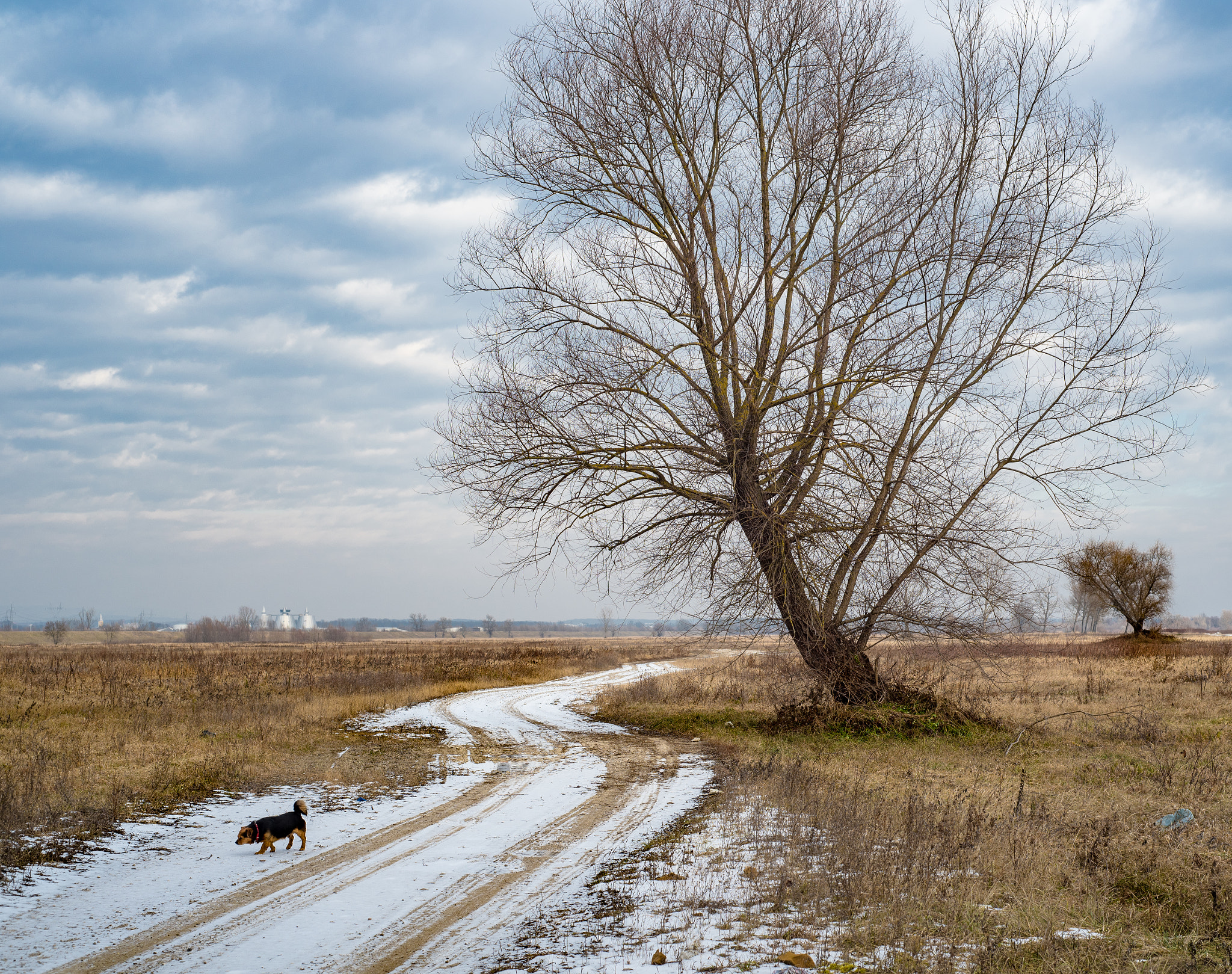 Nikon D750 + AF Nikkor 50mm f/1.8 sample photo. This fresh air photography