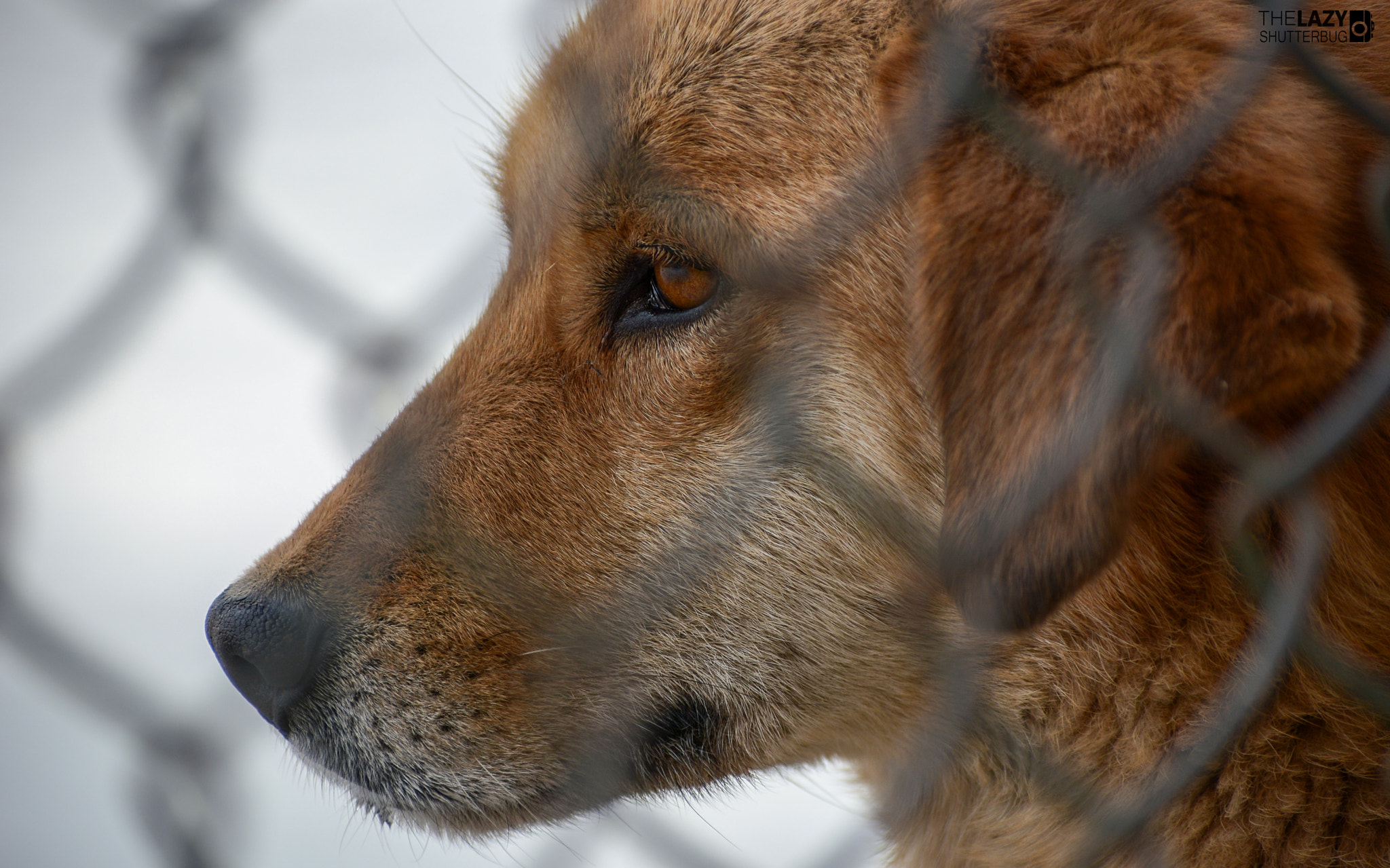 Nikon D7100 sample photo. Leh, ladakh photography