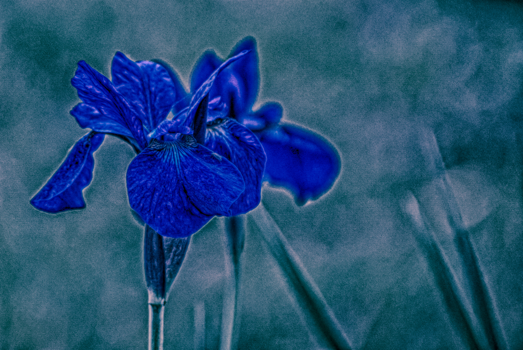 Nikon D200 sample photo. Feeling blue - iteration #3 photography