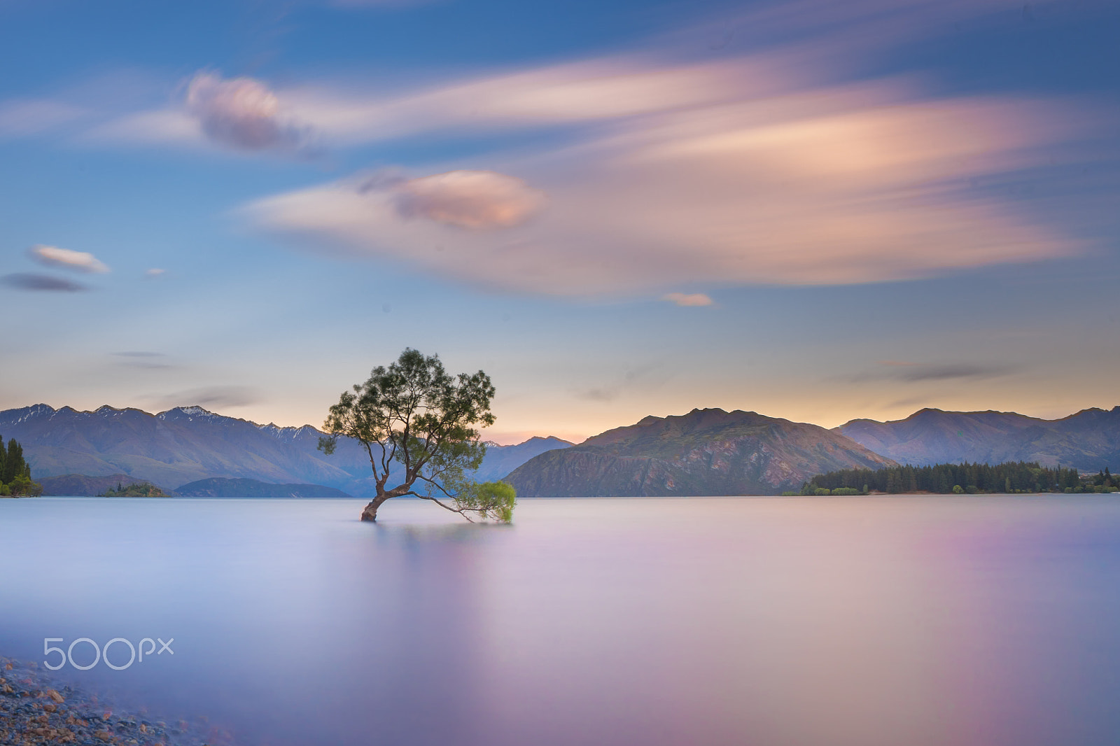 Sony a7 II + Tamron 18-270mm F3.5-6.3 Di II PZD sample photo. That wanaka tree photography