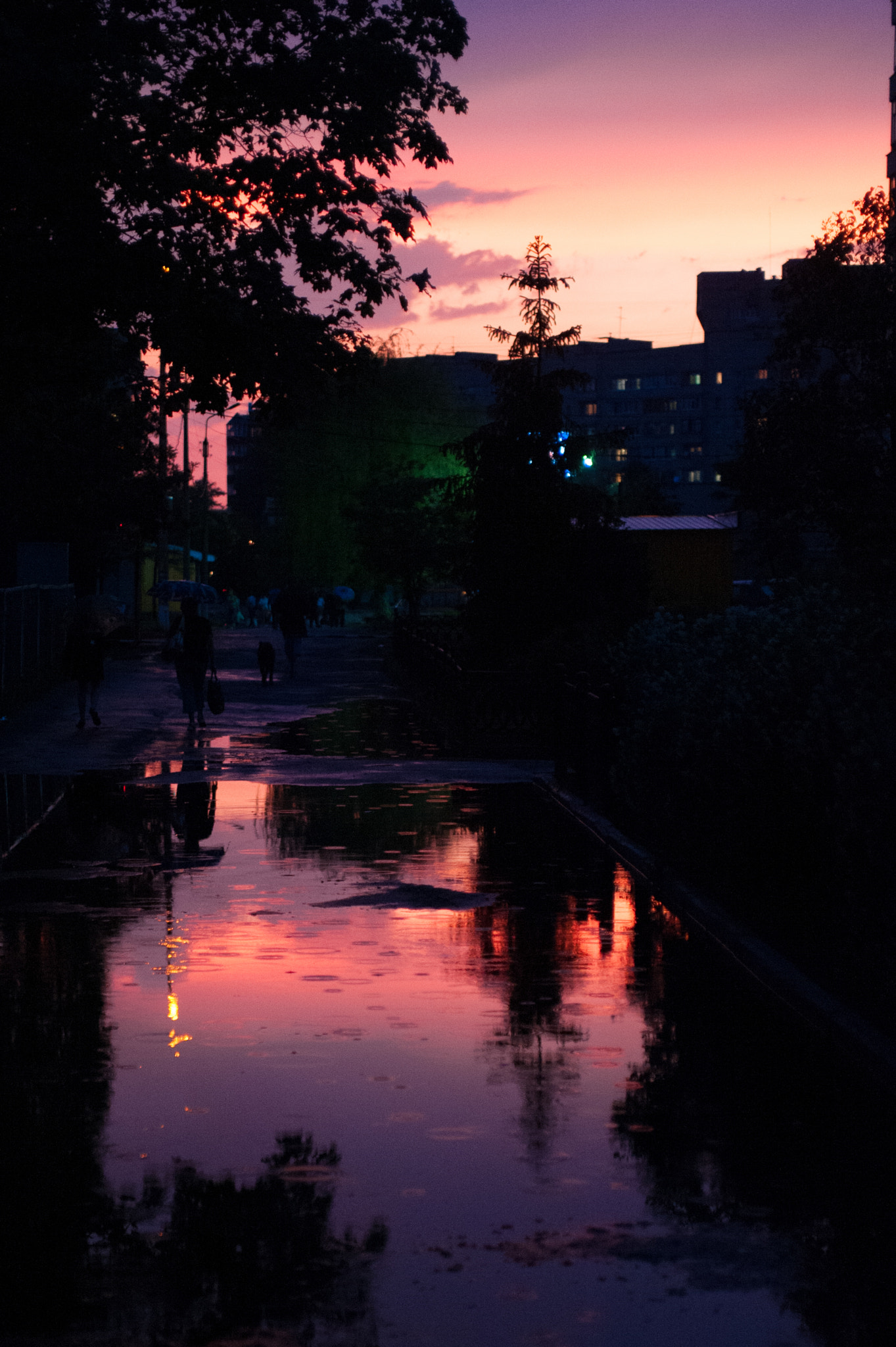 Nikon D700 + AF Zoom-Nikkor 35-70mm f/2.8D sample photo. After rain photography