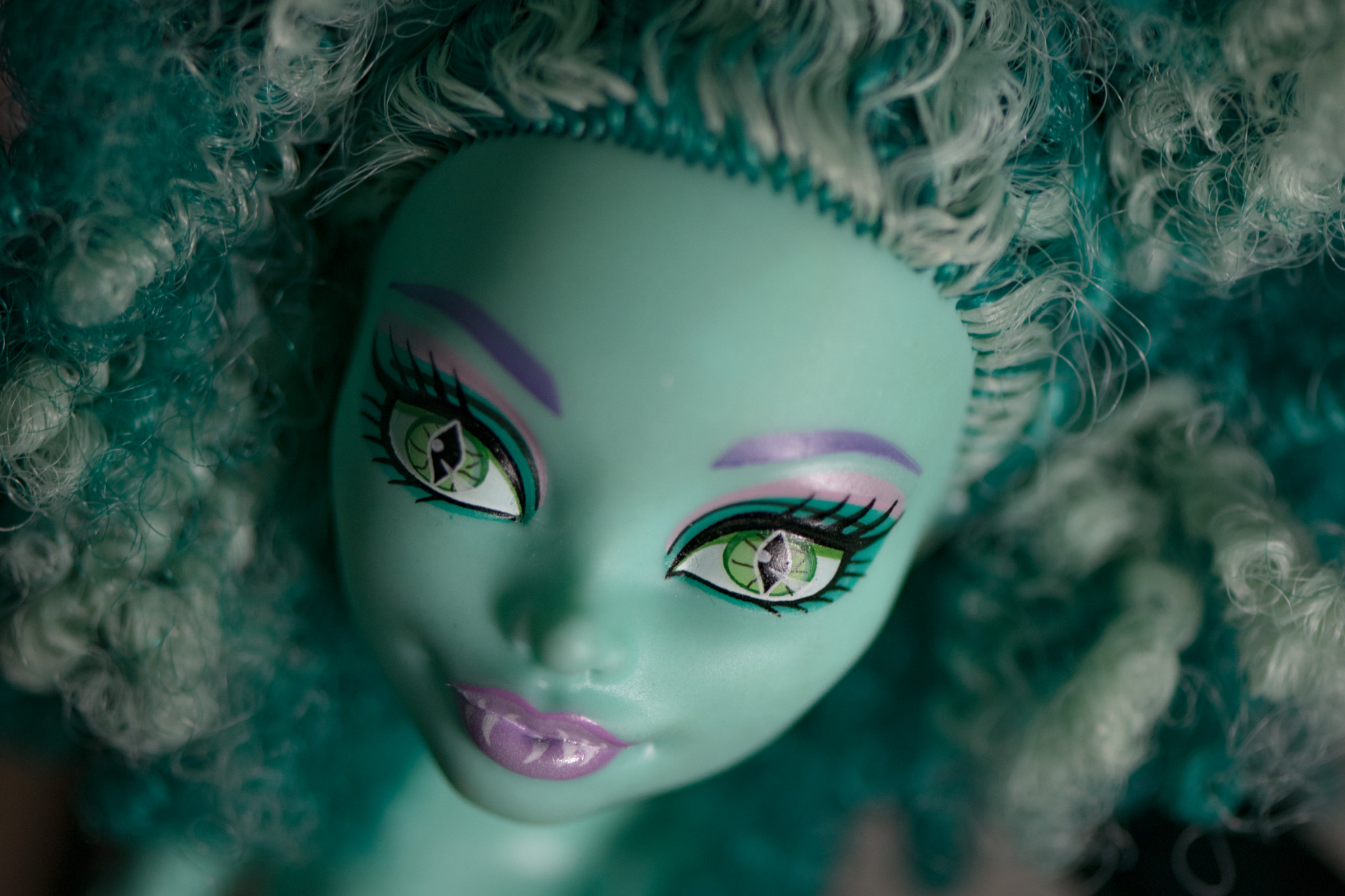 Nikon AF-S Micro-Nikkor 105mm F2.8G IF-ED VR sample photo. Honey swamp photography
