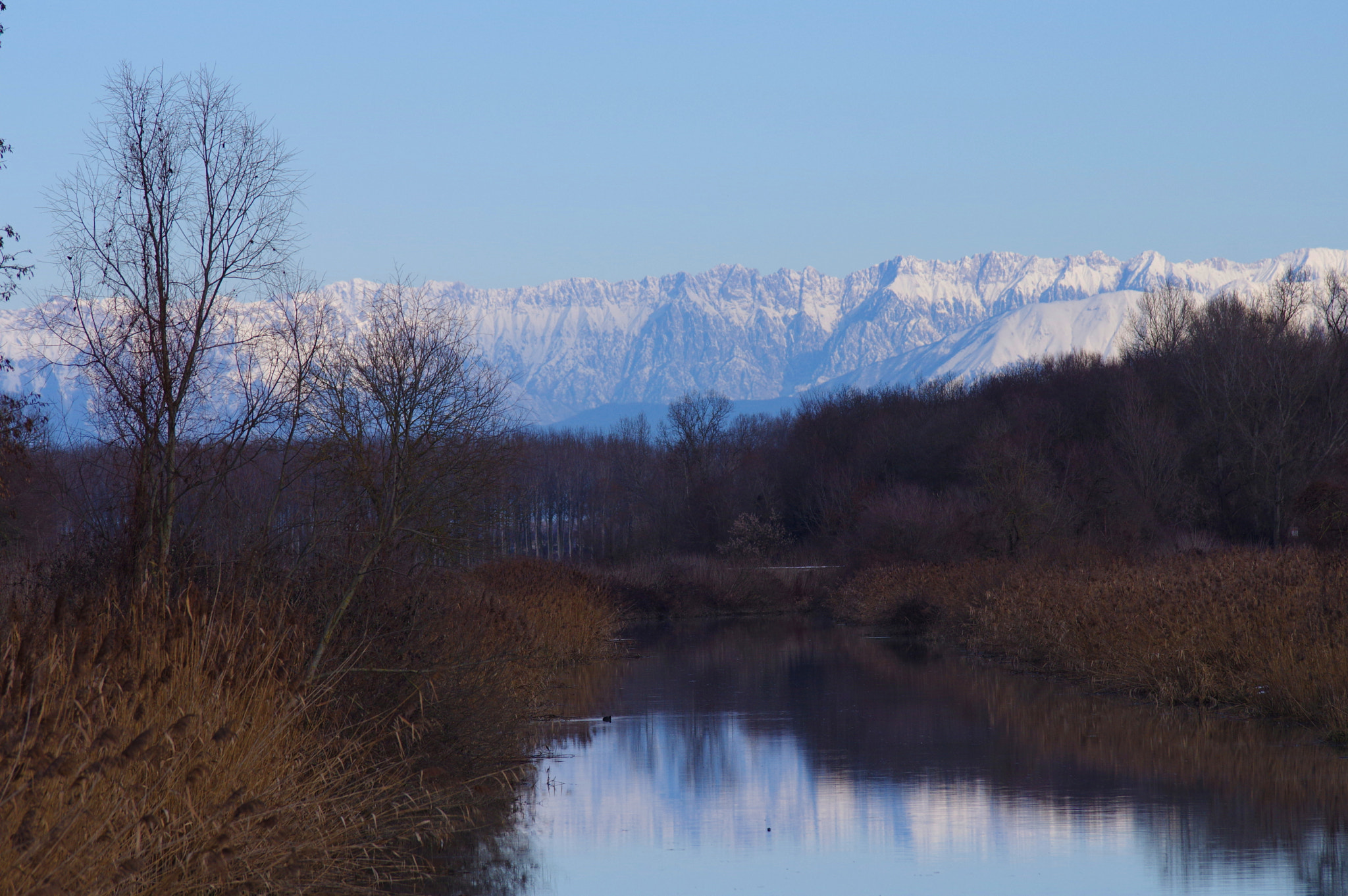Pentax K-3 sample photo. Cormor nord photography