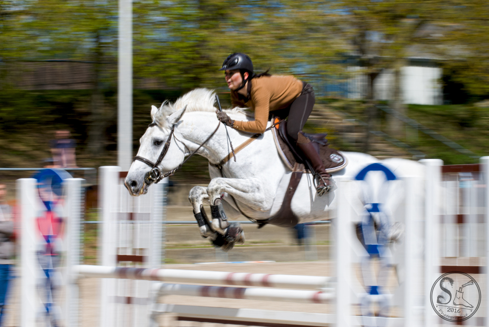 Nikon D60 sample photo. Jumping saint-brieuc equitation photography