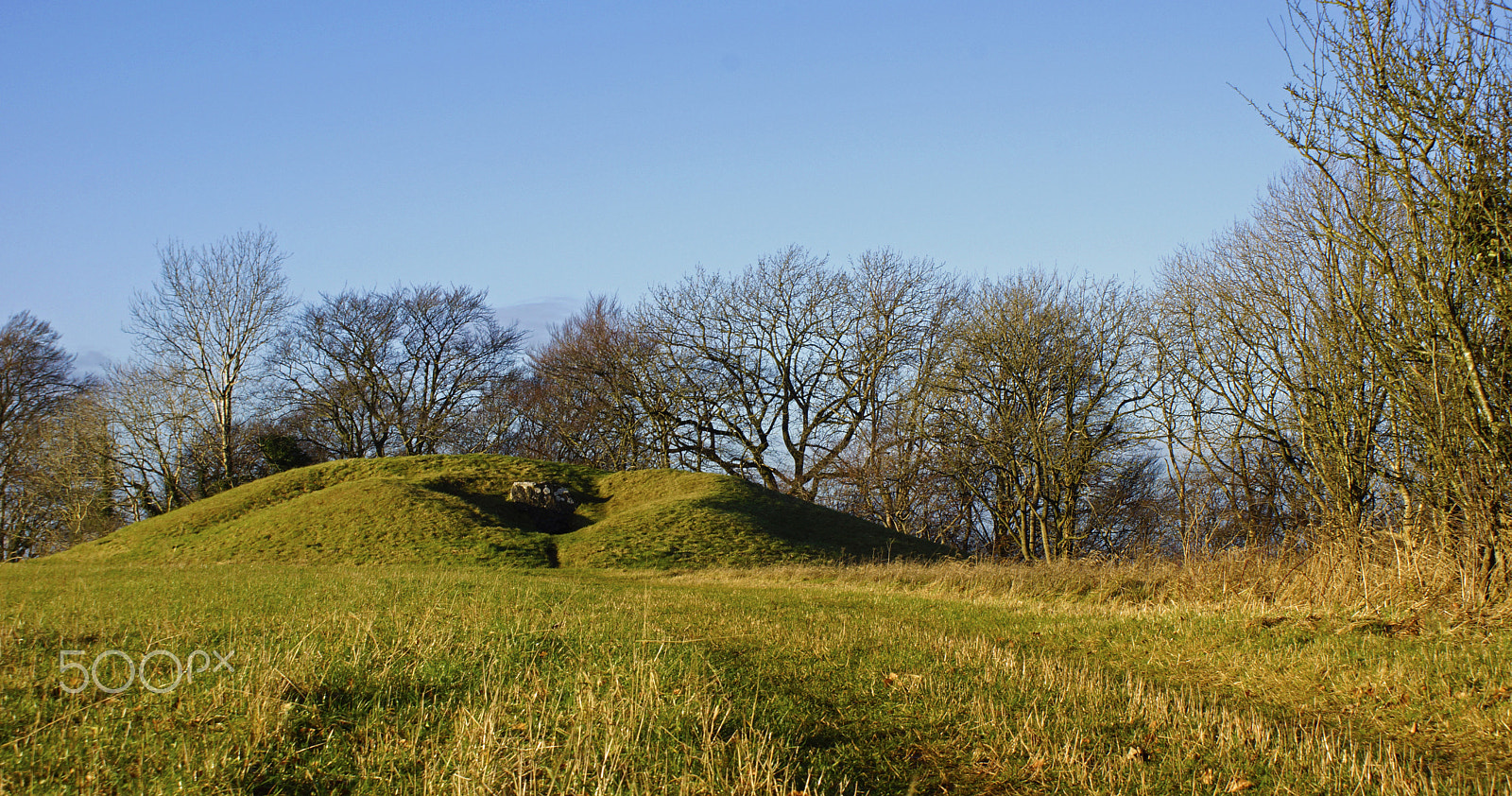 Sony DT 18-70mm F3.5-5.6 sample photo. Hetty pegler's tump photography