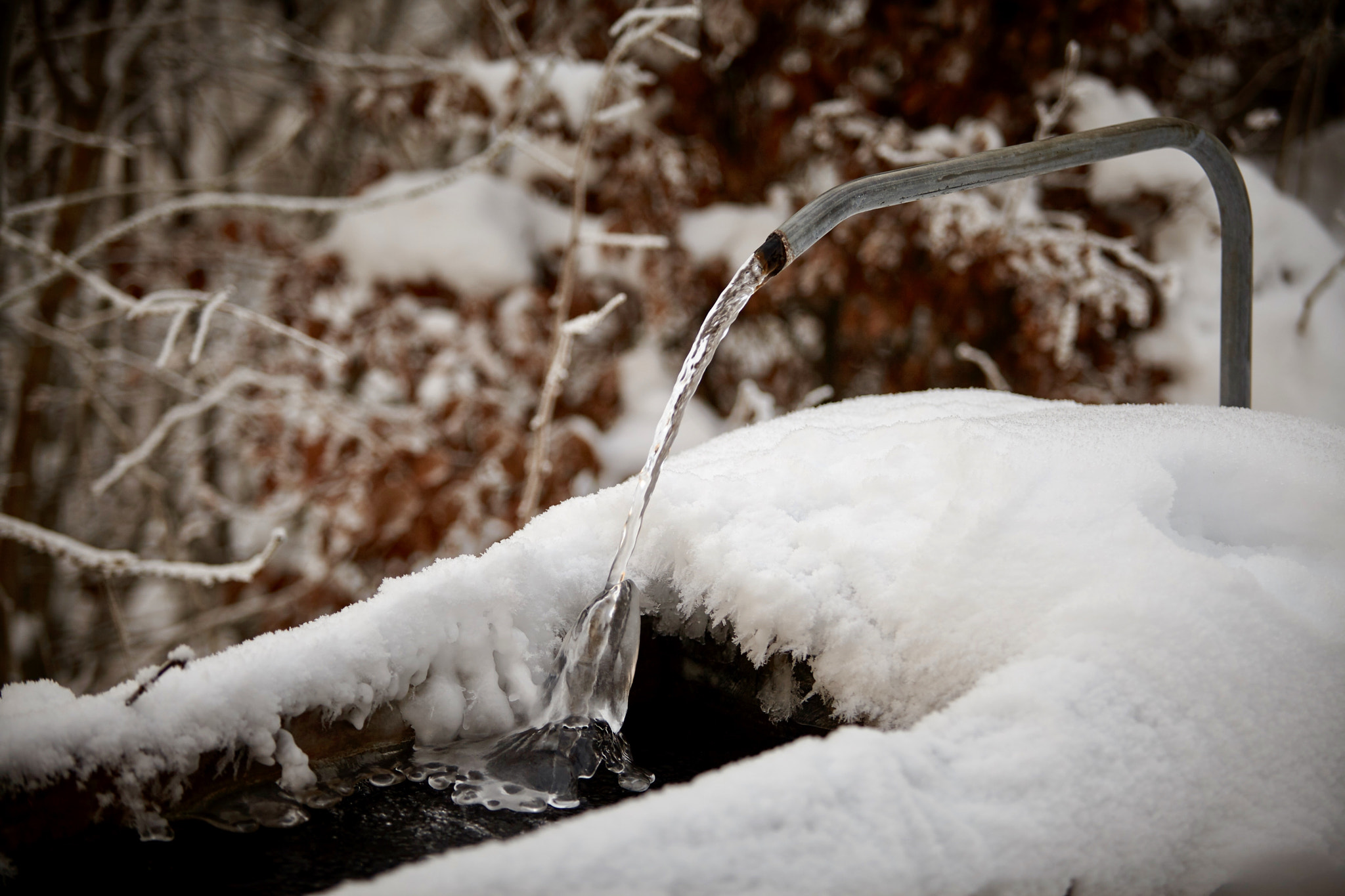 Canon EF 70-200mm F2.8L USM sample photo. Frozen by -10°c and 1/500s photography