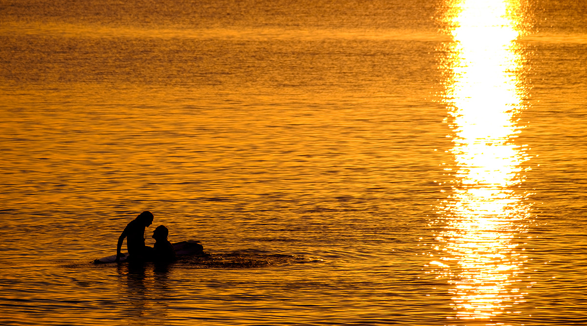 Fujifilm X-E2 + Fujifilm XF 55-200mm F3.5-4.8 R LM OIS sample photo. Gold passion photography