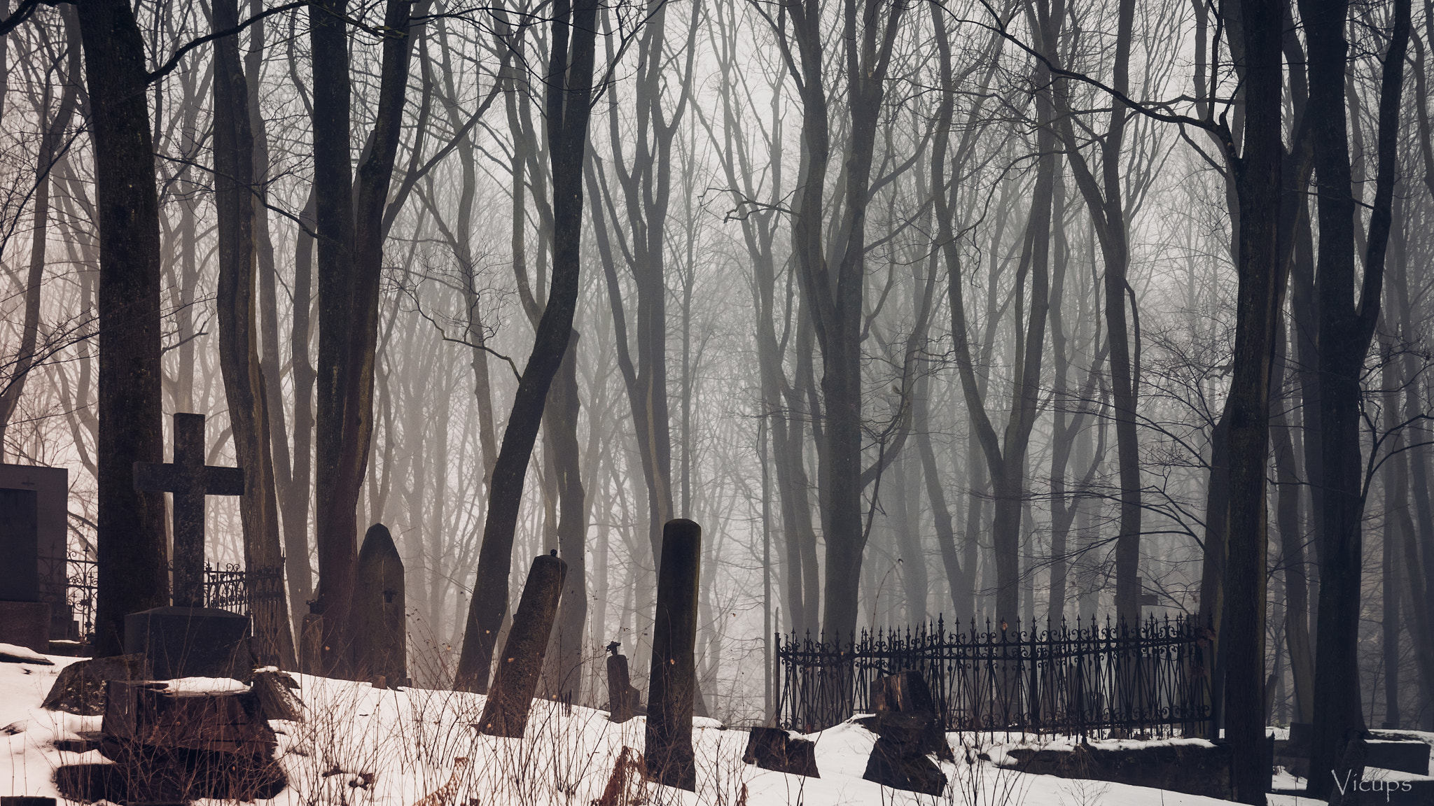 Canon EOS 750D (EOS Rebel T6i / EOS Kiss X8i) sample photo. Funeral fog photography