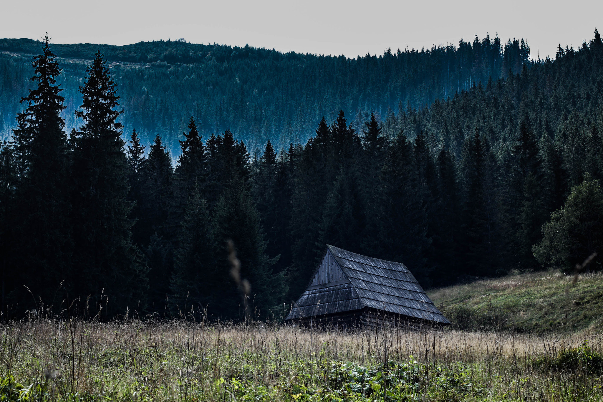 Canon EOS 650D (EOS Rebel T4i / EOS Kiss X6i) + Canon EF 50mm F1.4 USM sample photo. ..my little secret house.. photography