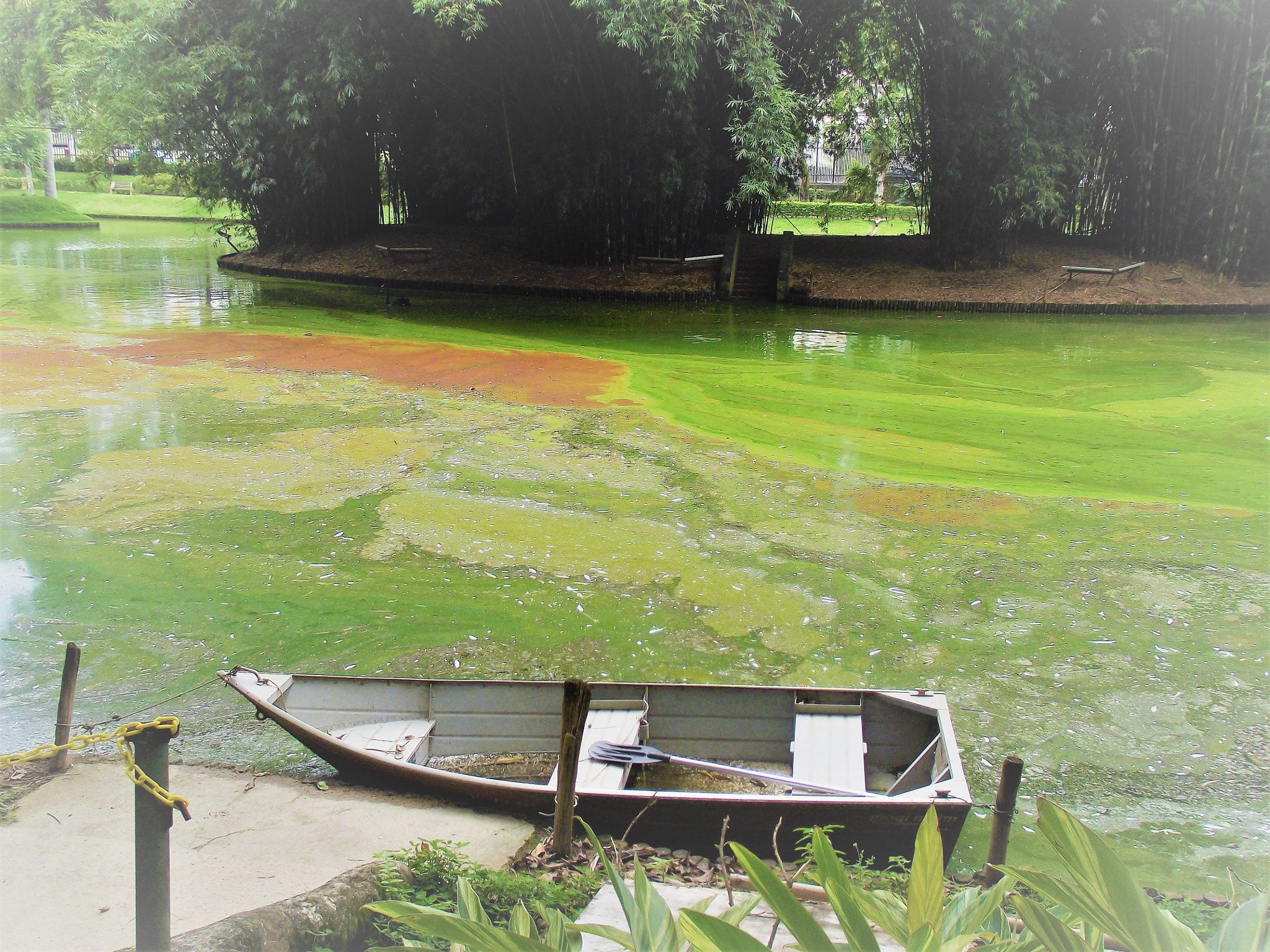 Fujifilm FinePix S2850HD sample photo. The lake and the boat photography