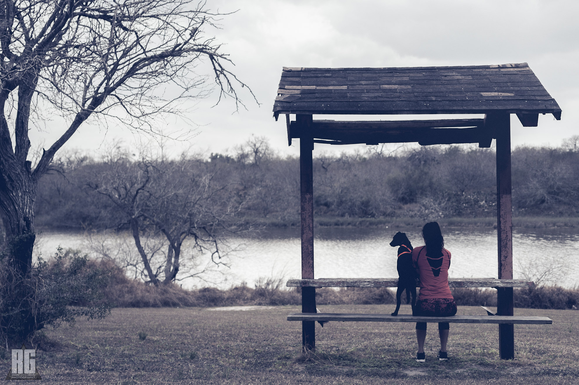 Nikon D3200 sample photo. A girl & her companion photography