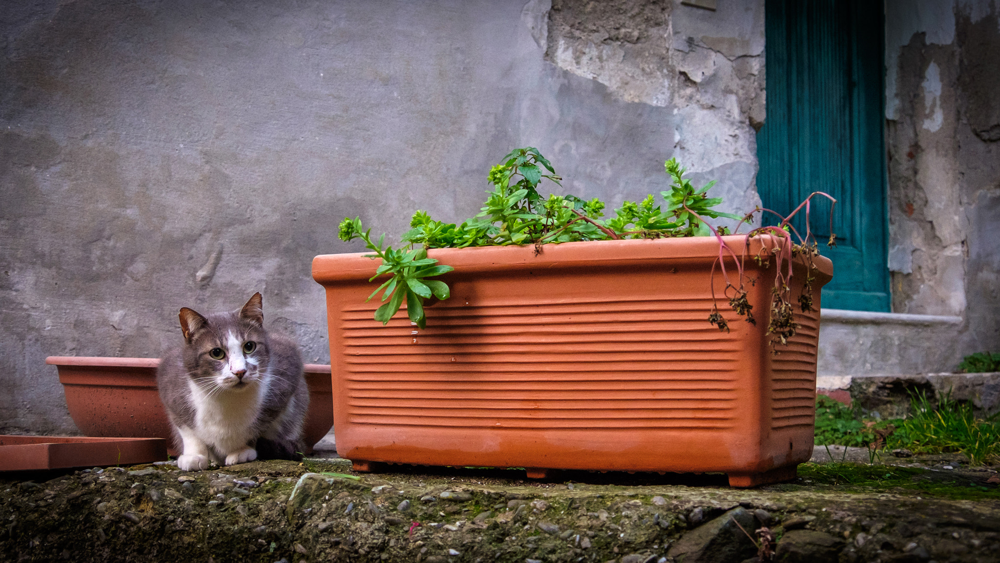 Fujifilm X-T10 + Fujifilm XF 18-135mm F3.5-5.6 R LM OIS WR sample photo