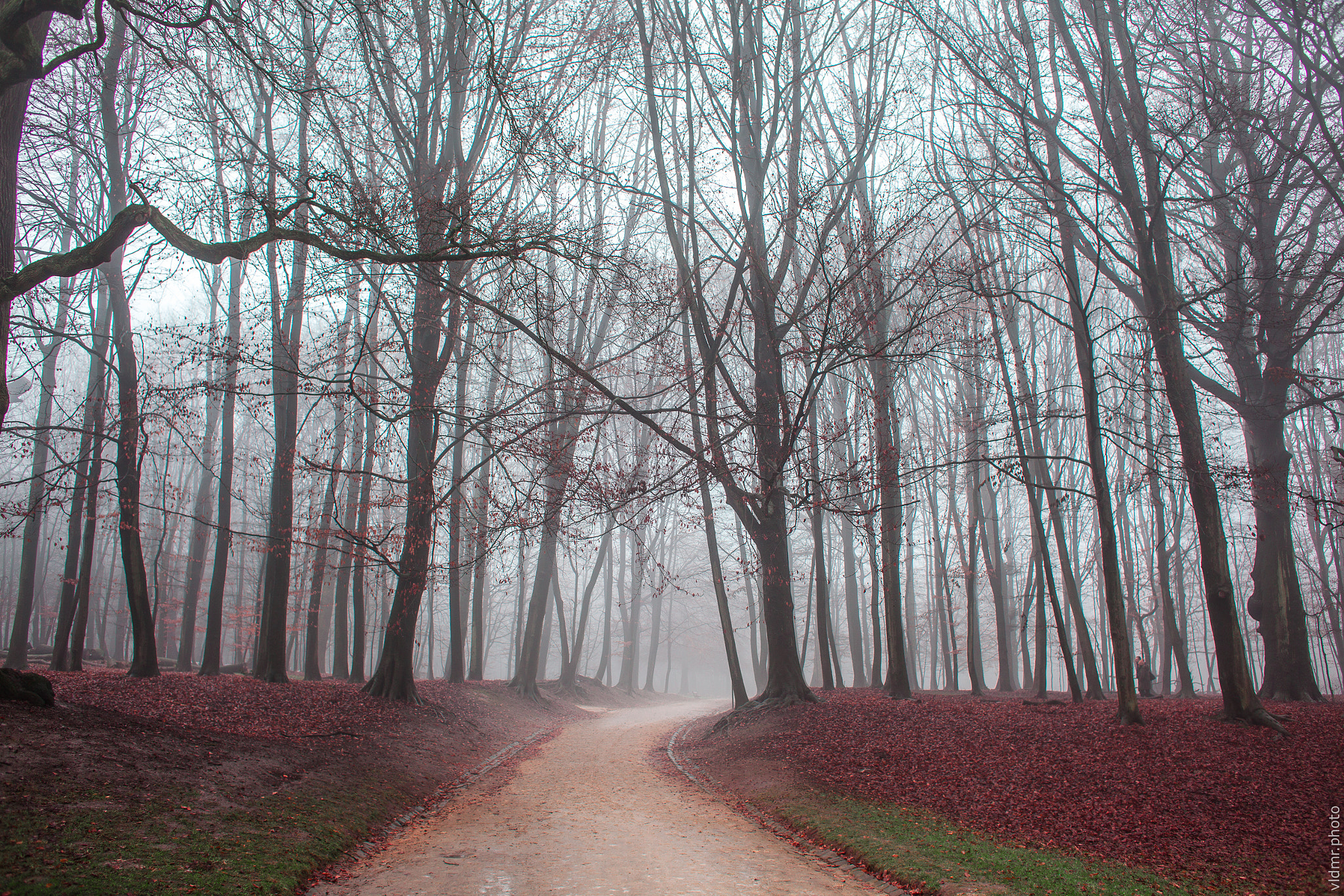 Canon EF 28mm F1.8 USM sample photo. Misty alley photography
