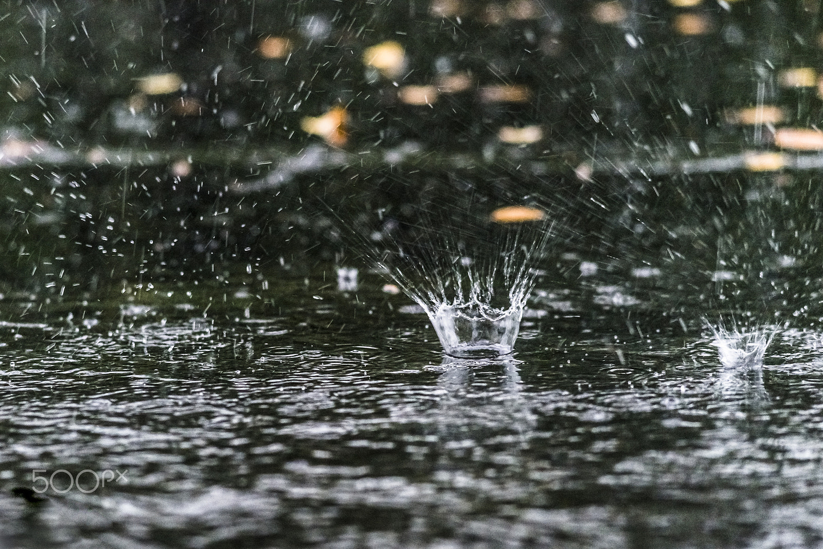 Sony a99 II sample photo. Impact of raindrop photography