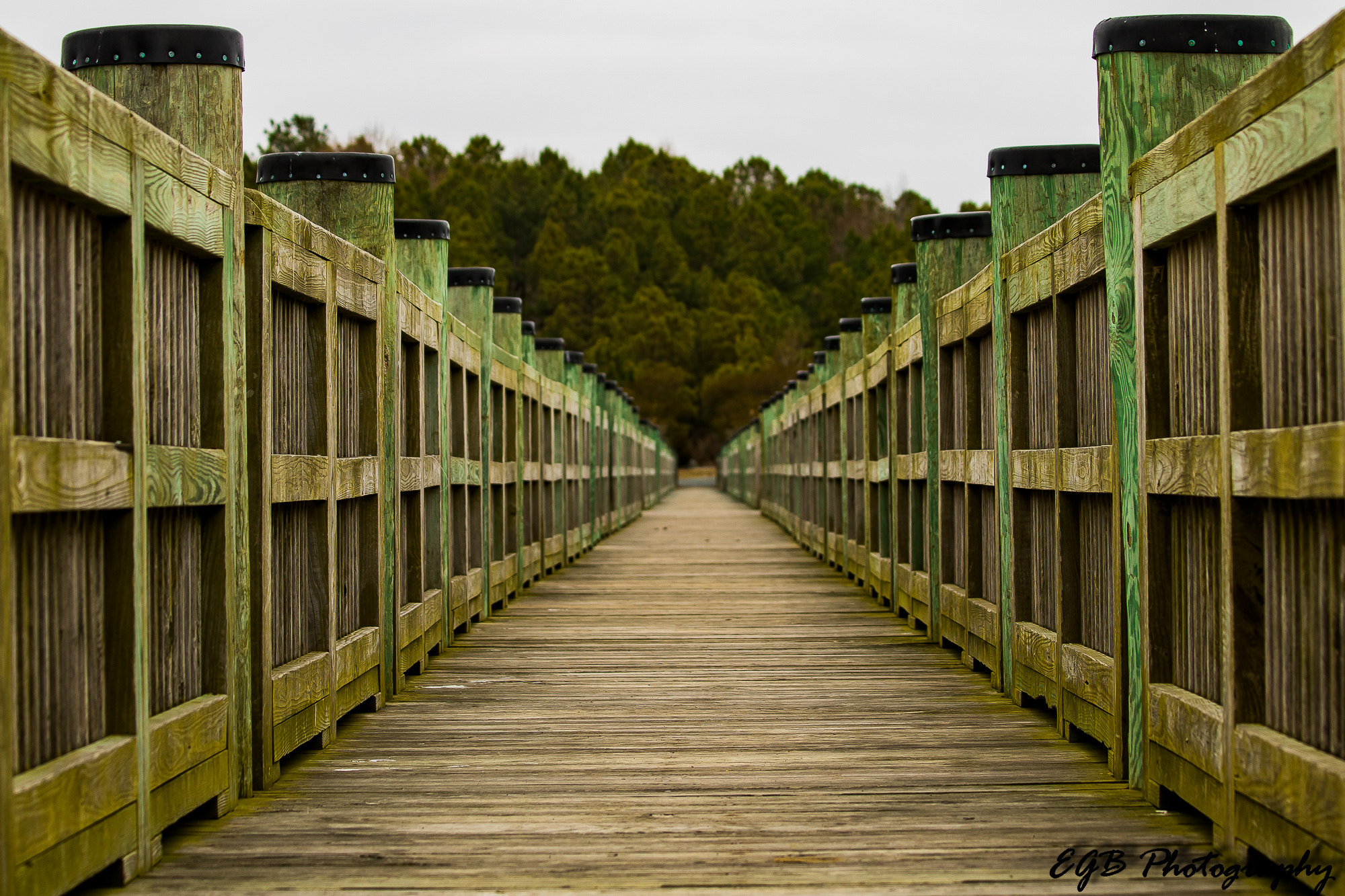 Canon EF 70-300mm F4-5.6 IS USM sample photo. A short walk photography