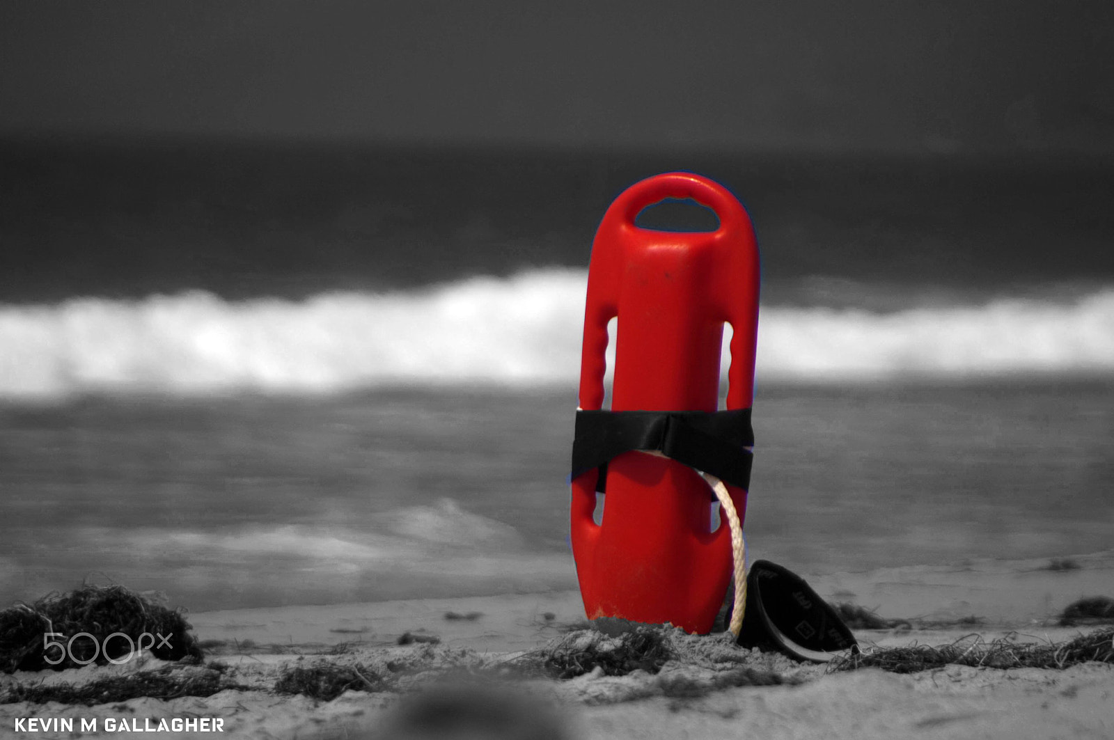 Nikon D70s sample photo. Life saver in color photography