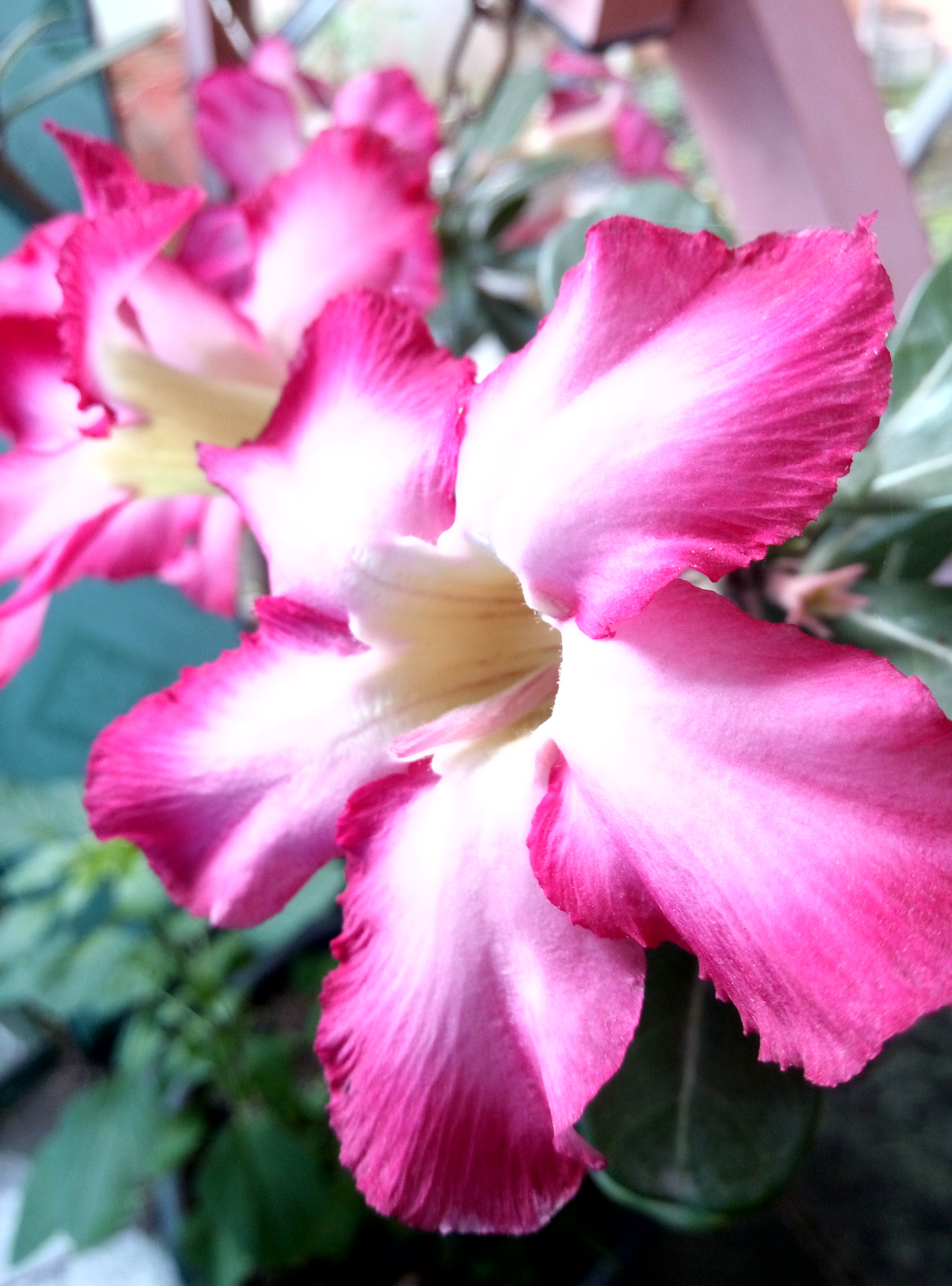 Meizu m2 sample photo
