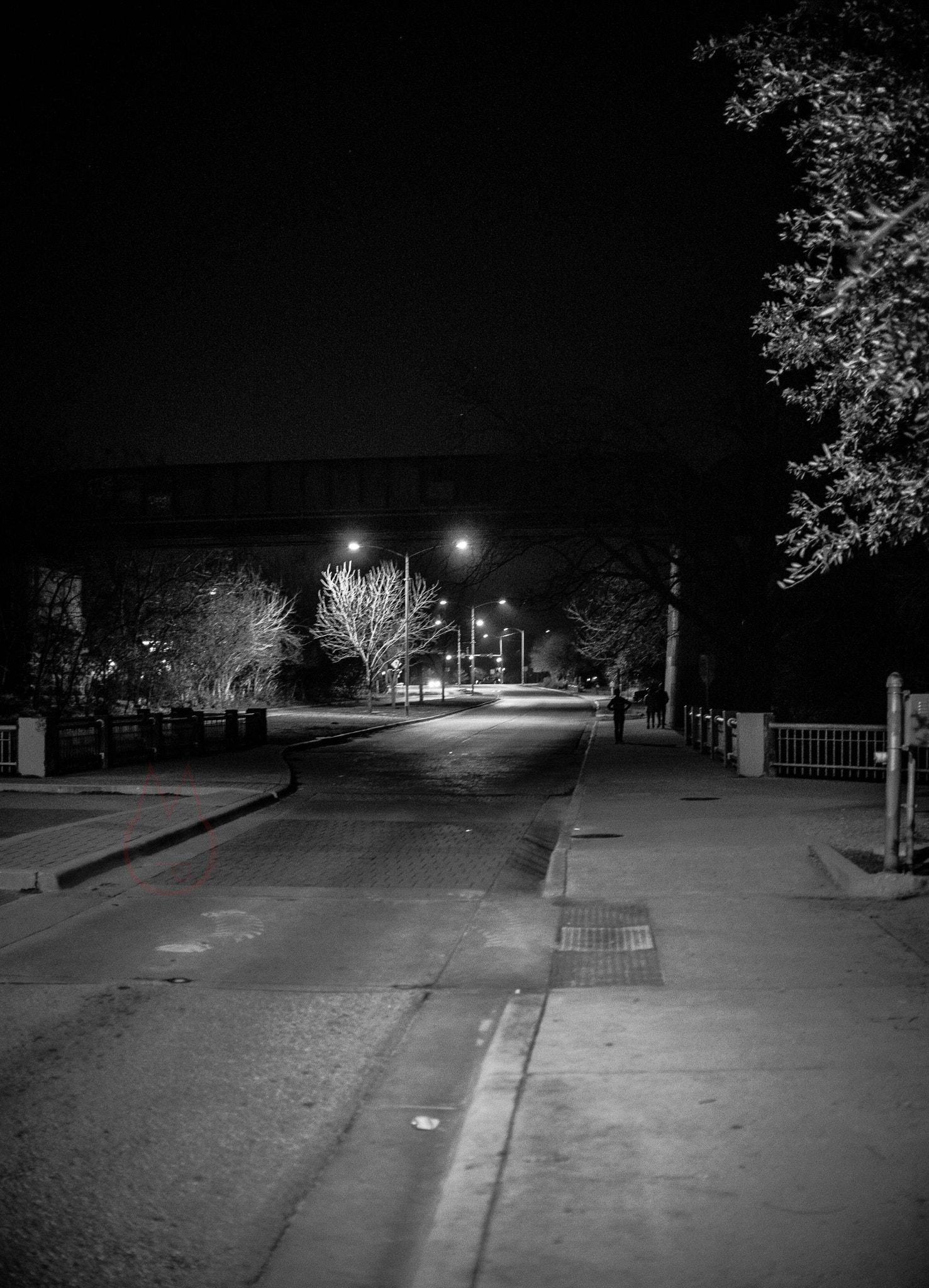 Nikon D610 sample photo. Last night photography