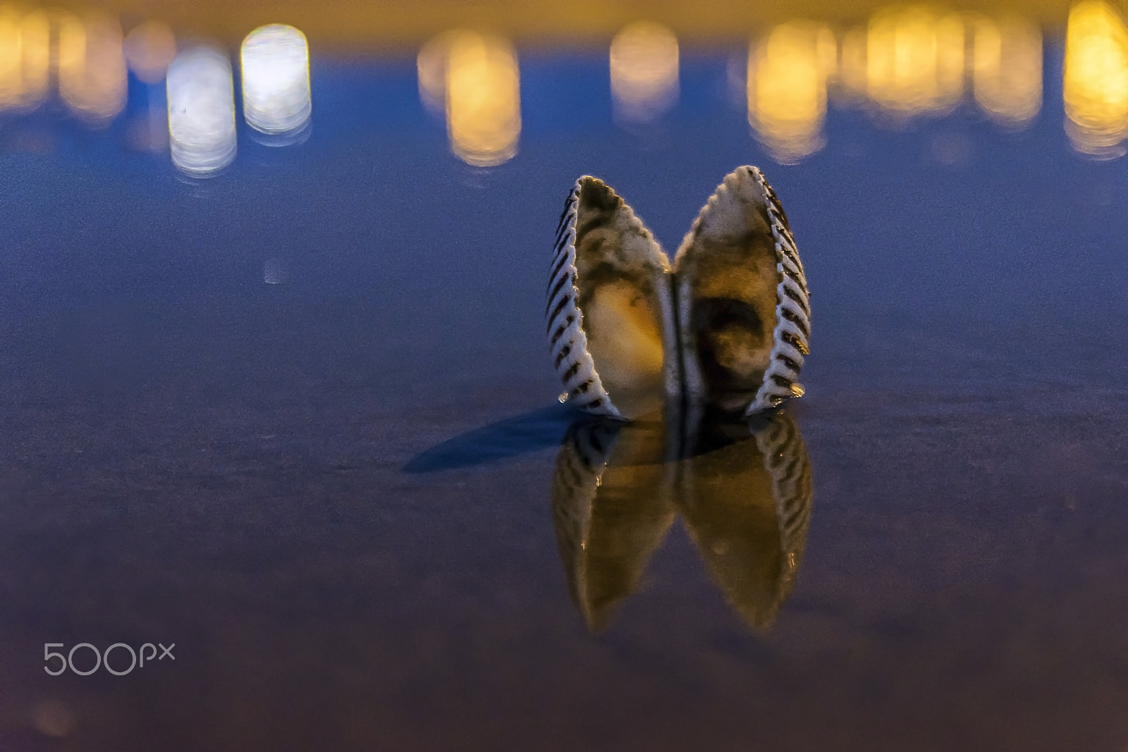Nikon D7200 sample photo. Seaside reflection after rain photography