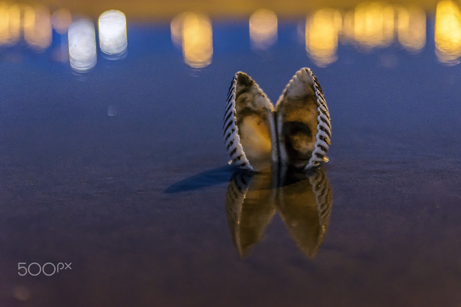 Nikon D7200 + Sigma 18-50mm F2.8 EX DC Macro sample photo. Seaside reflection after rain photography