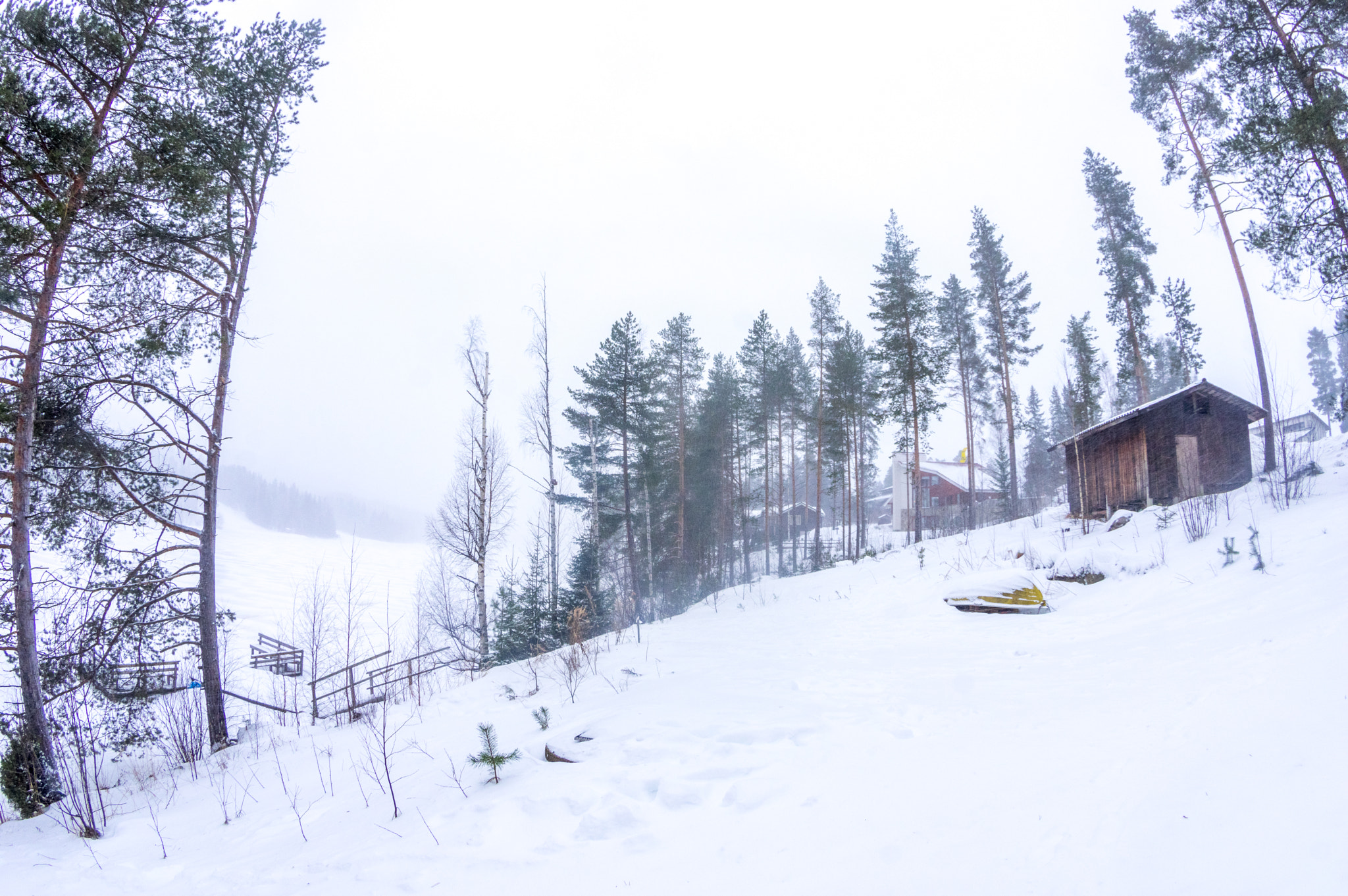 Pentax K-3 sample photo. Suomi winter #1 photography