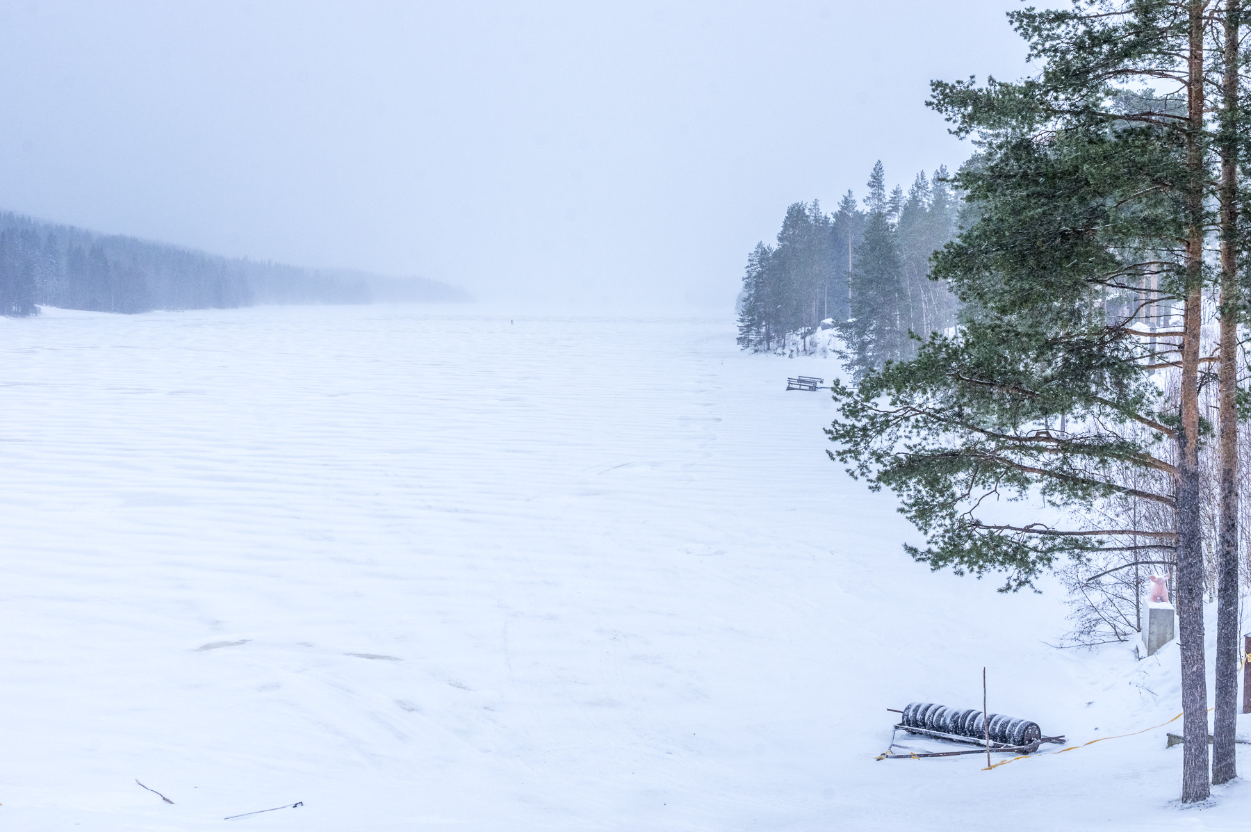 Pentax K-3 + Pentax smc FA 31mm F1.8 AL Limited sample photo. Suomi winter #3 photography