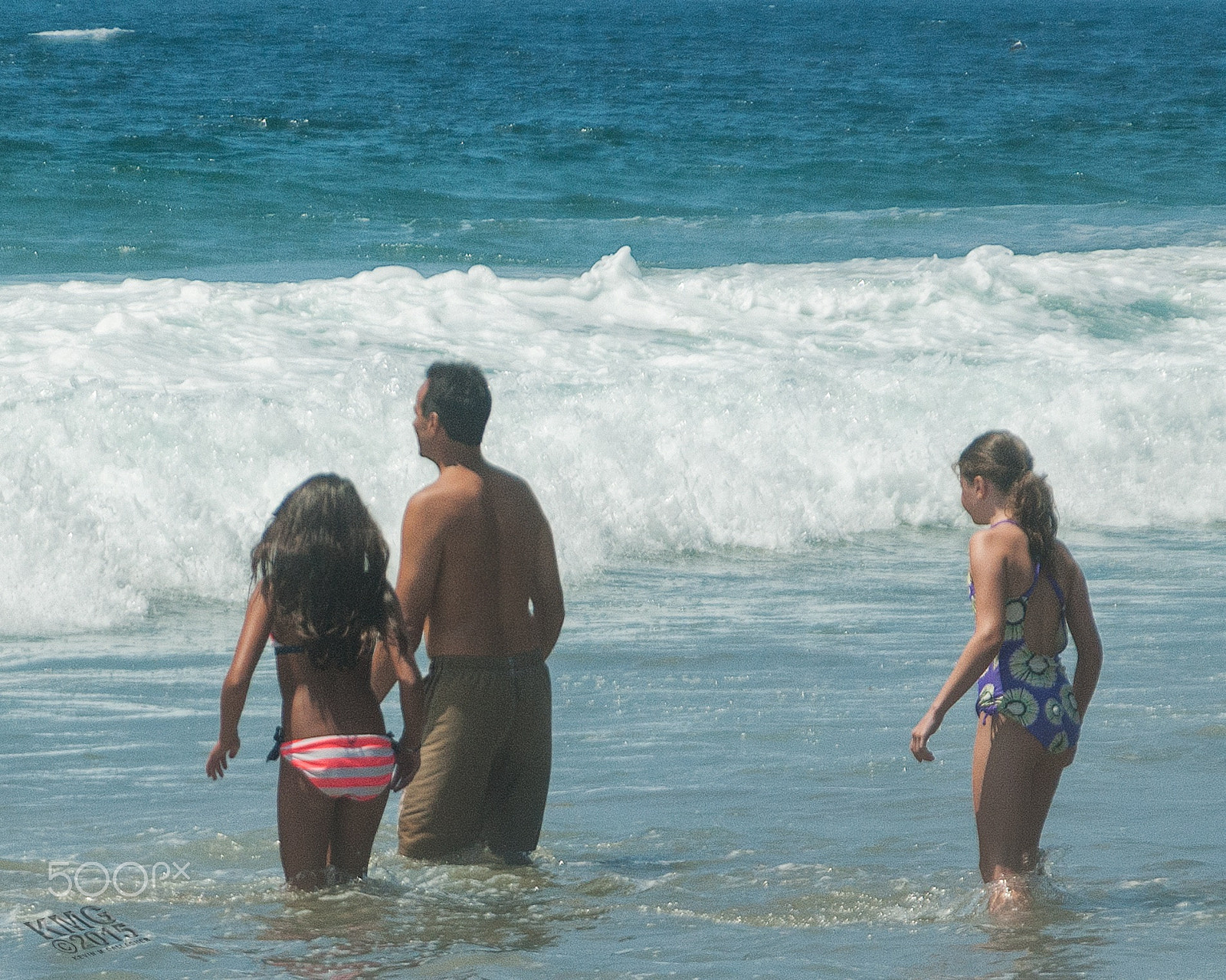 Nikon D70s sample photo. Wading behind o photography