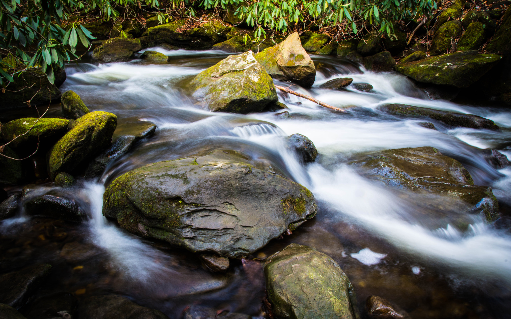Nikon D5200 sample photo. A creek runs through it photography