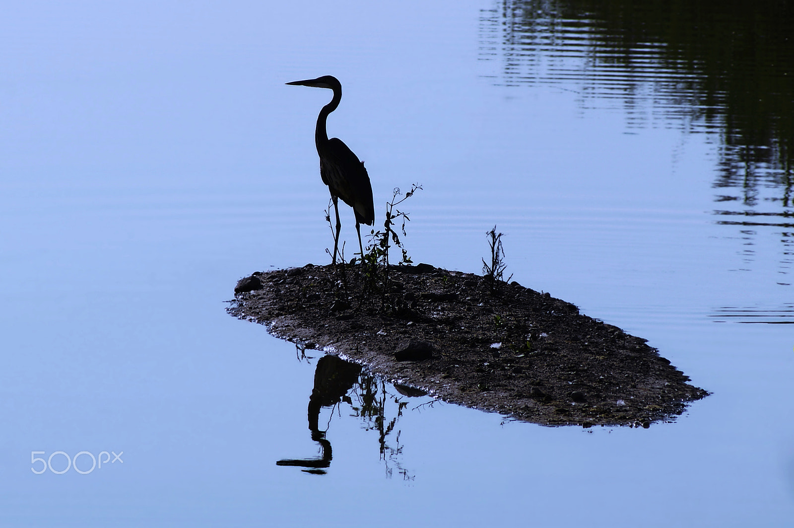 Sony 75-300mm F4.5-5.6 sample photo. My island paradise photography