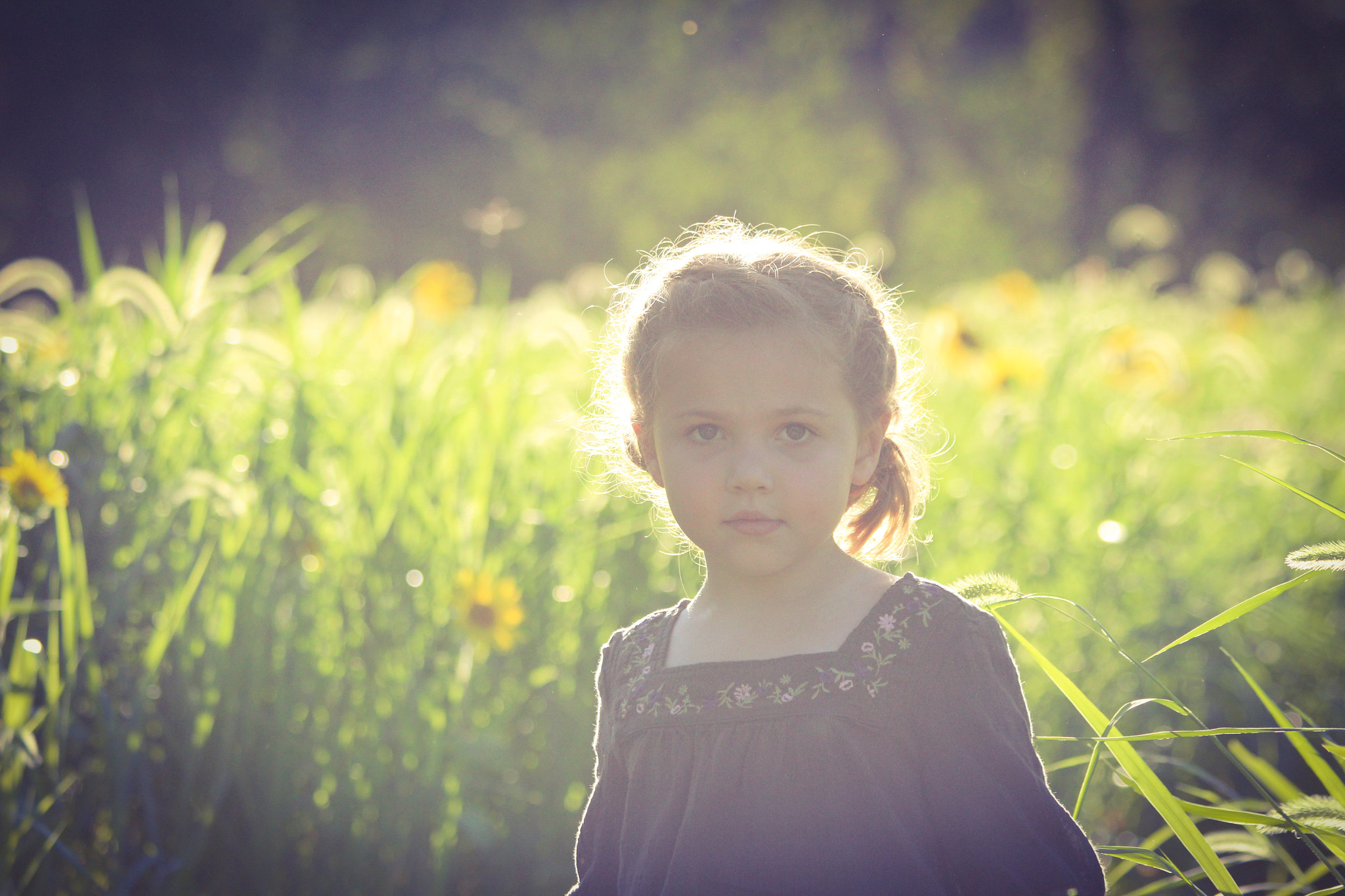 Canon EOS 650D (EOS Rebel T4i / EOS Kiss X6i) sample photo. My daughter at the sussex county sunflower maze photography