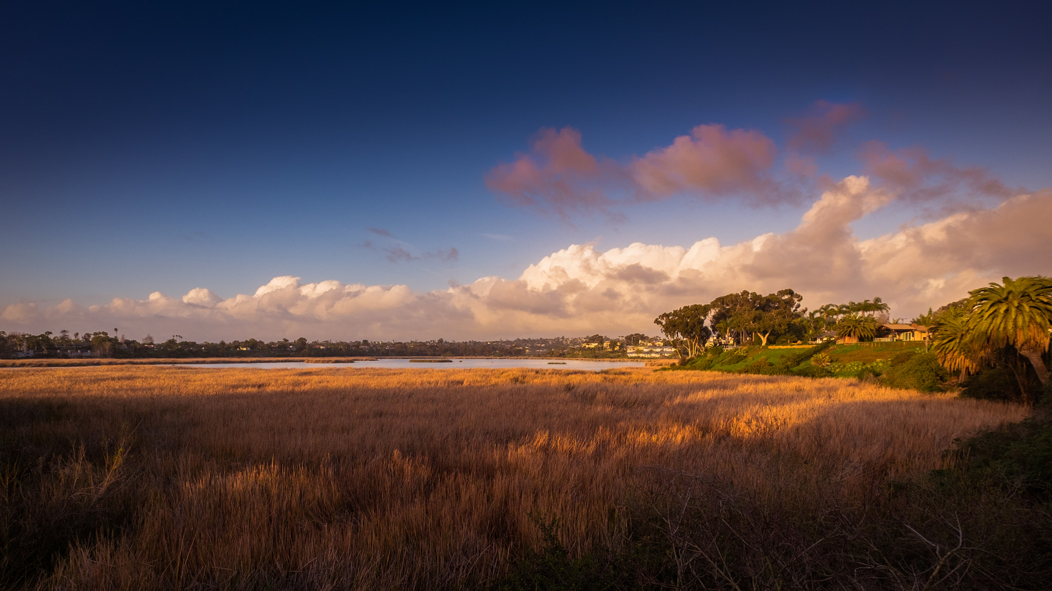 Fujifilm X-T10 + Fujifilm XF 10-24mm F4 R OIS sample photo. Buena vista lagoon photography