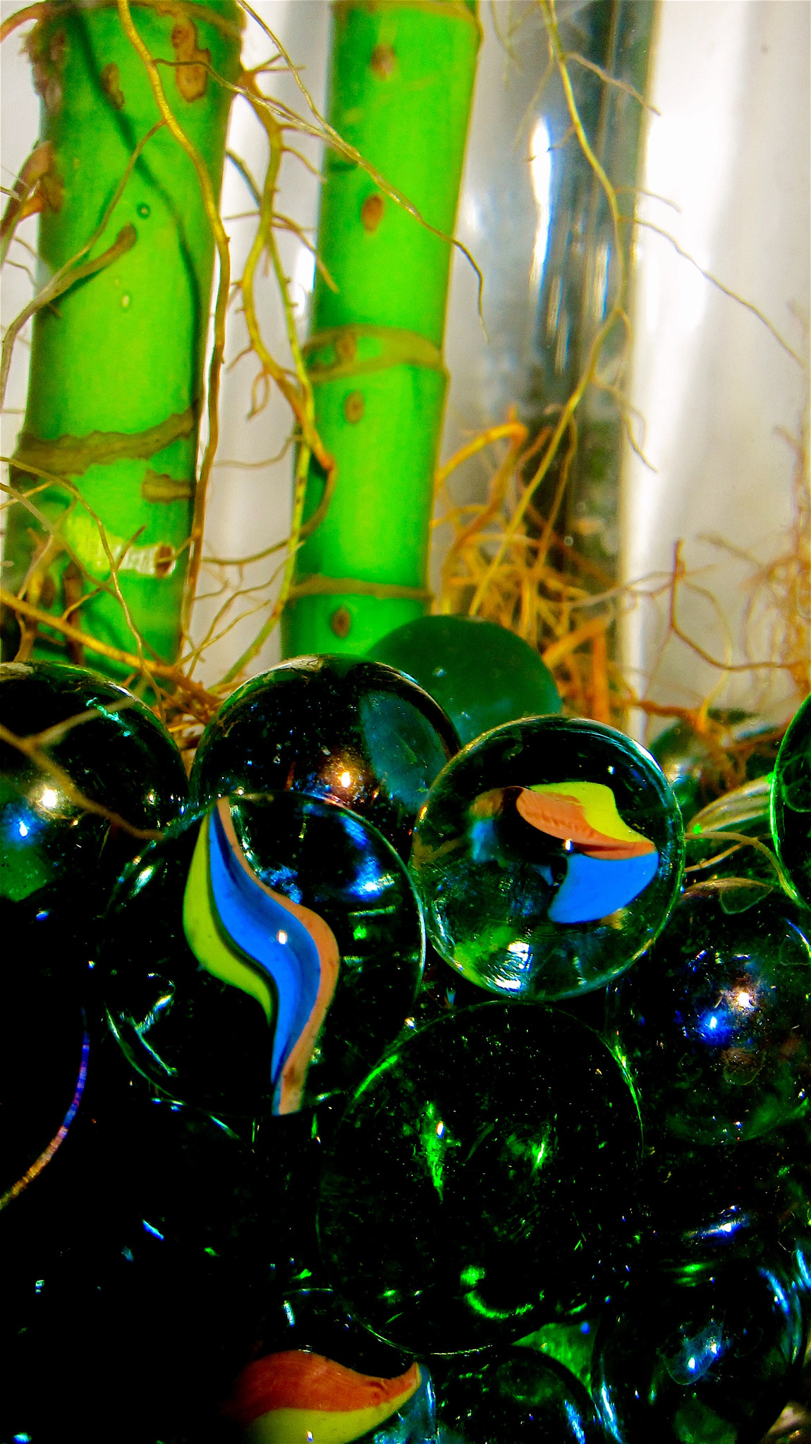 Canon PowerShot SD4000 IS (IXUS 300 HS / IXY 30S) sample photo. My abstract lucky bamboo in water and marbles. photography